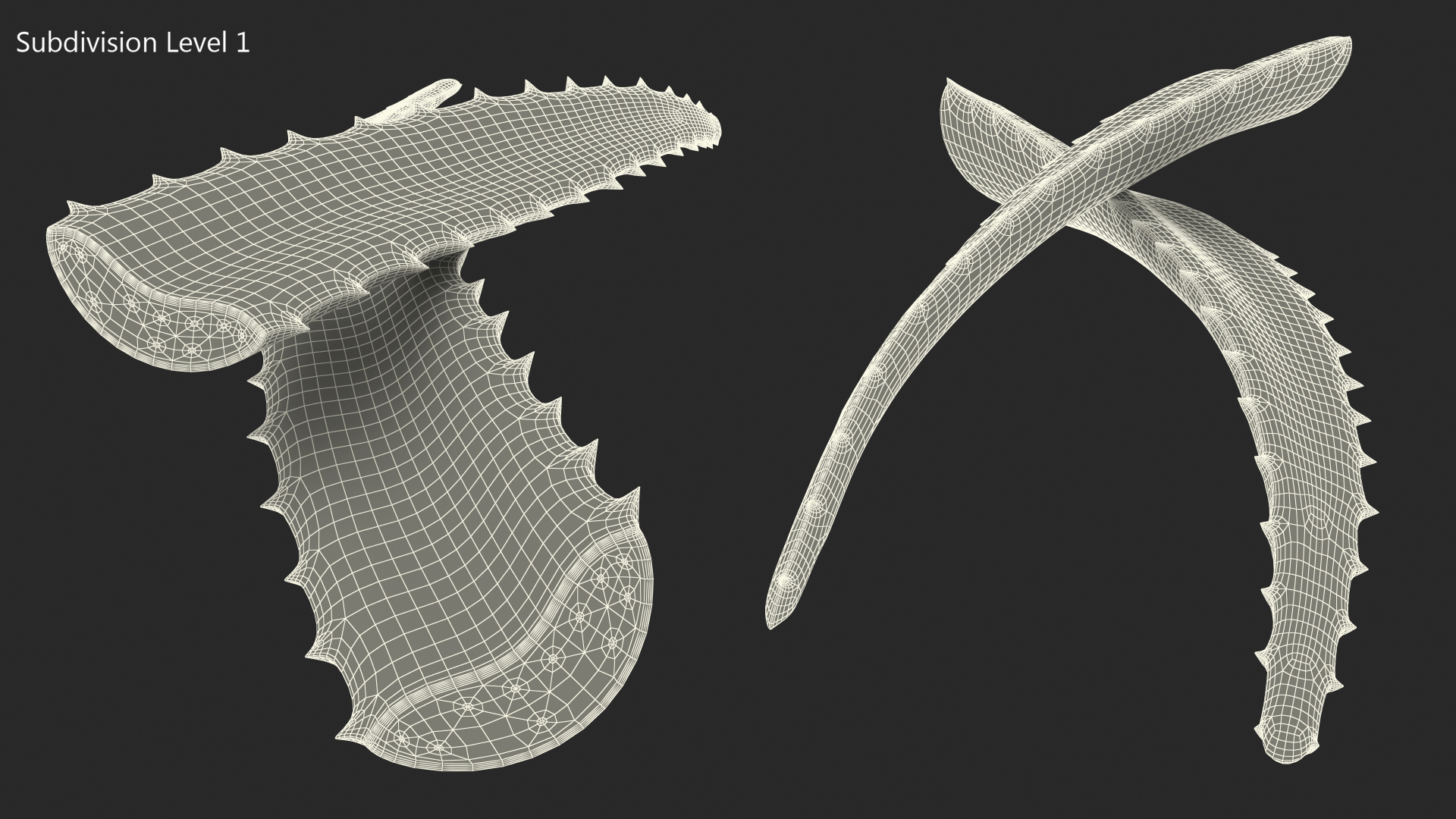 3D Aloe Leaves