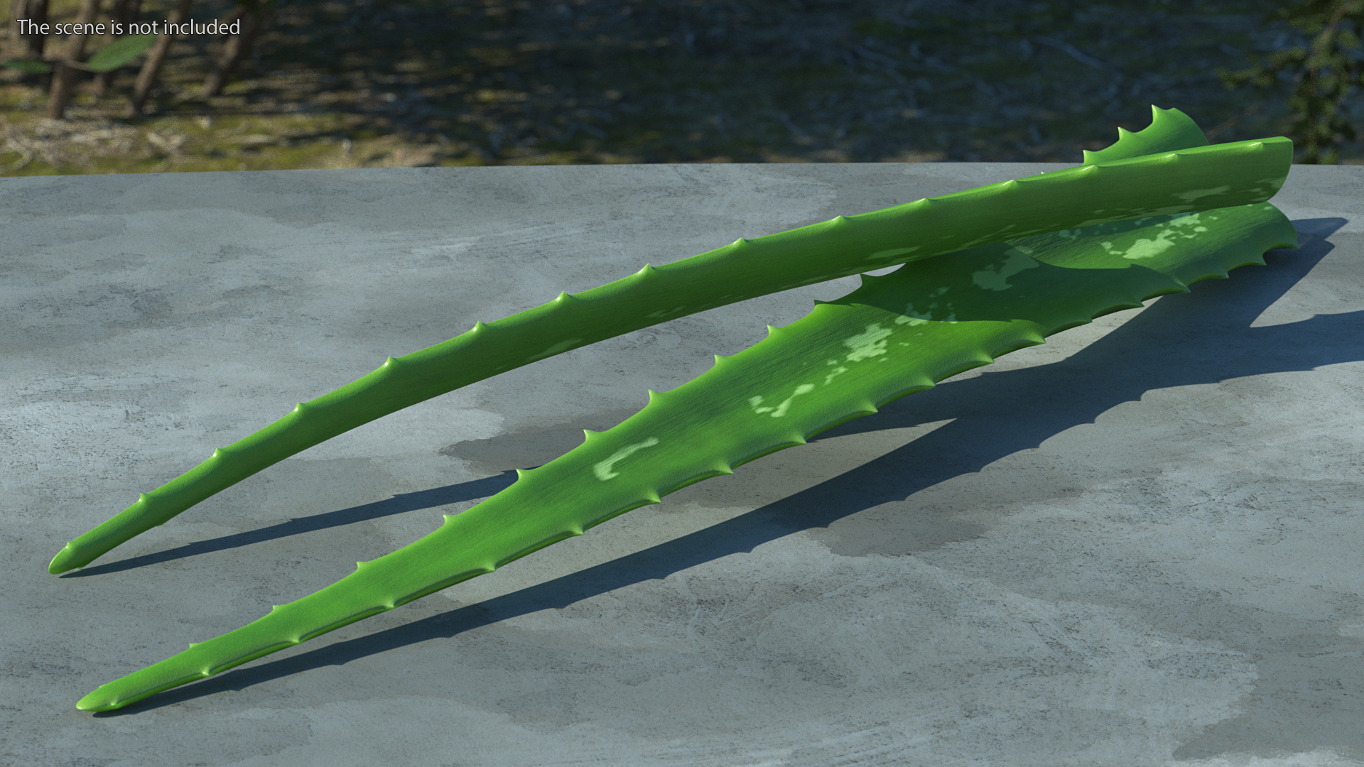 3D Aloe Leaves