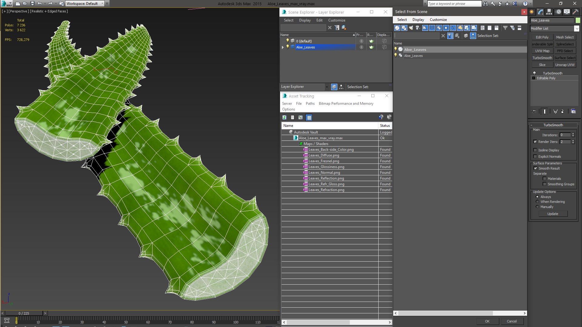 3D Aloe Leaves