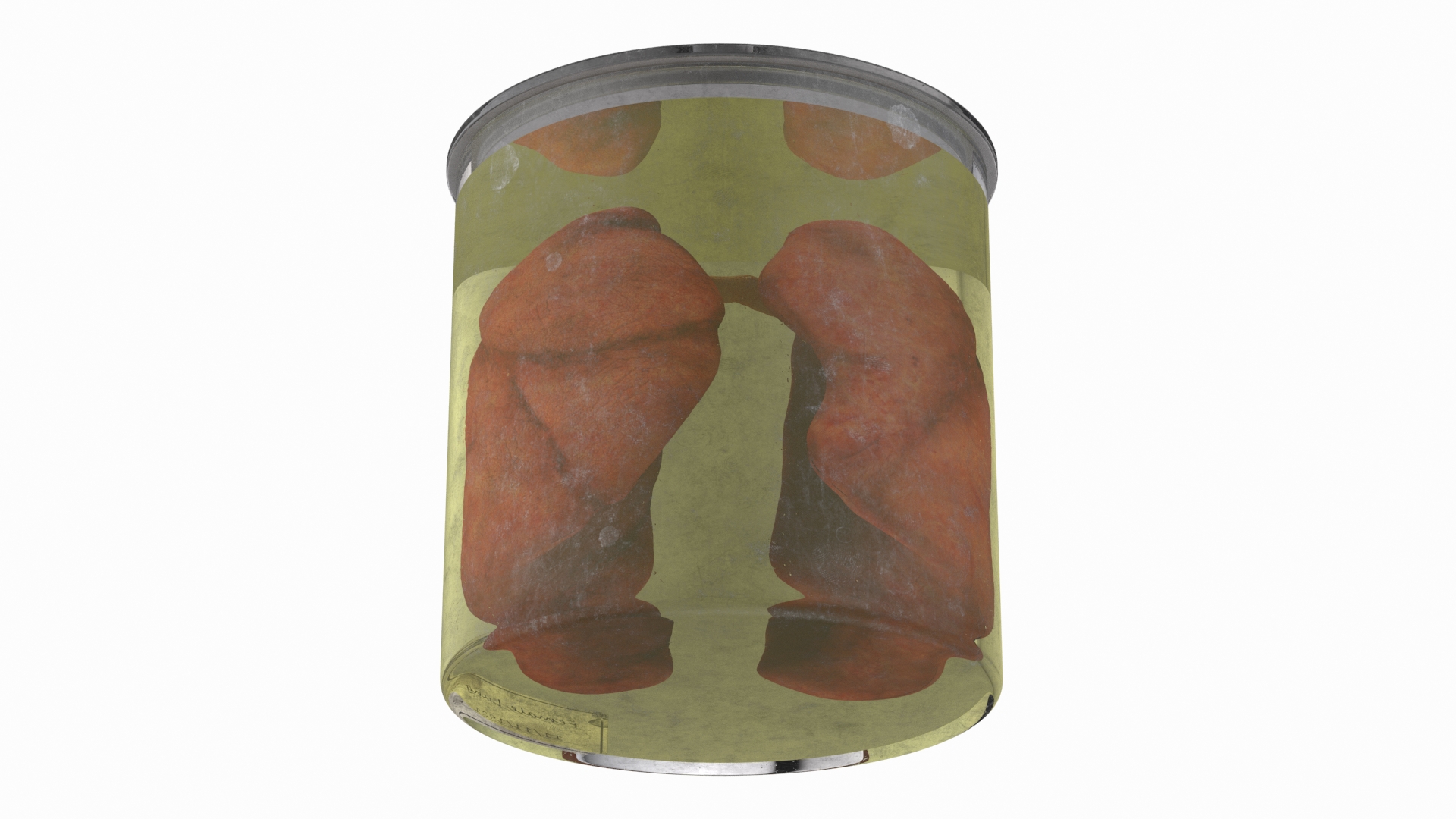 3D Human Lungs in Old Glass Jar model