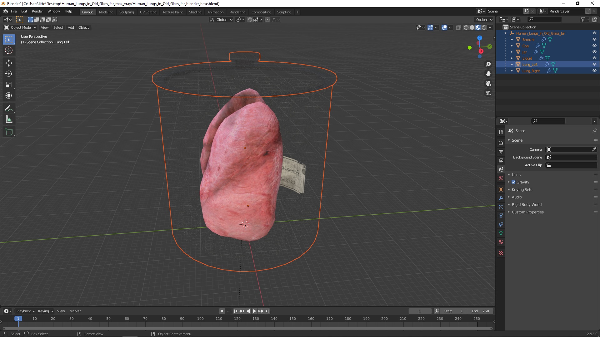 3D Human Lungs in Old Glass Jar model