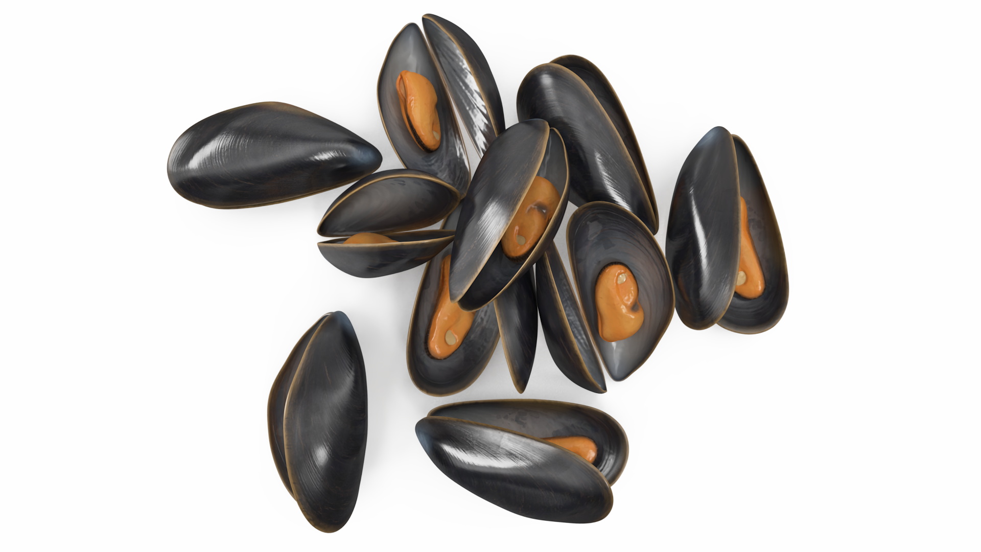 Pile of Boiled Mussels 3D