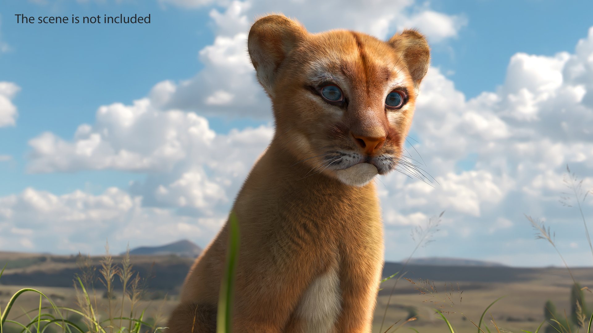 3D model Puma Cub Sitting Pose with Fur