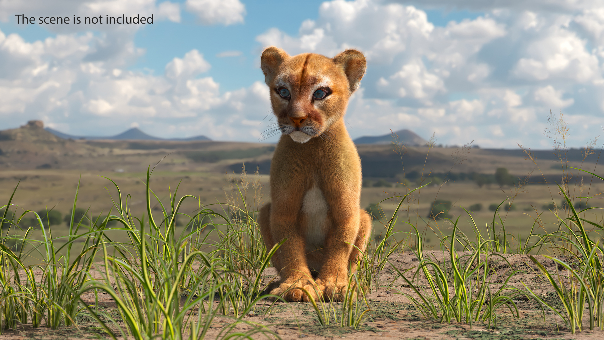 3D model Puma Cub Sitting Pose with Fur