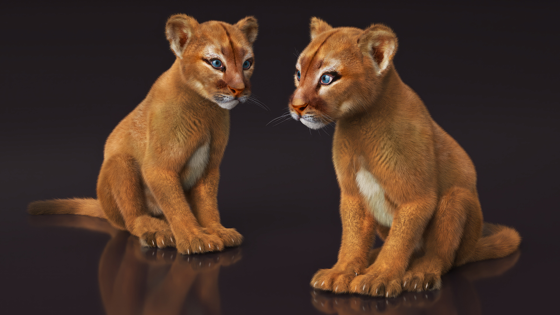 3D model Puma Cub Sitting Pose with Fur