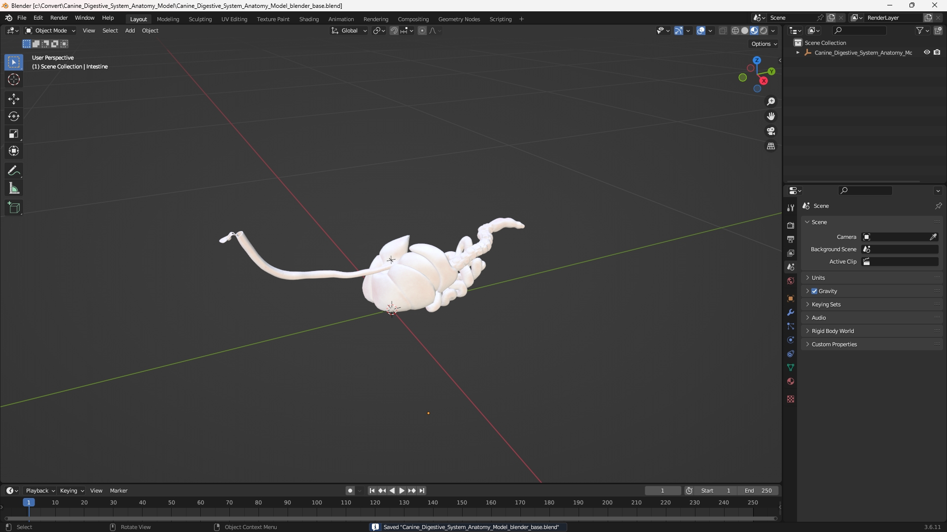 Canine Digestive System Anatomy Model, view 9