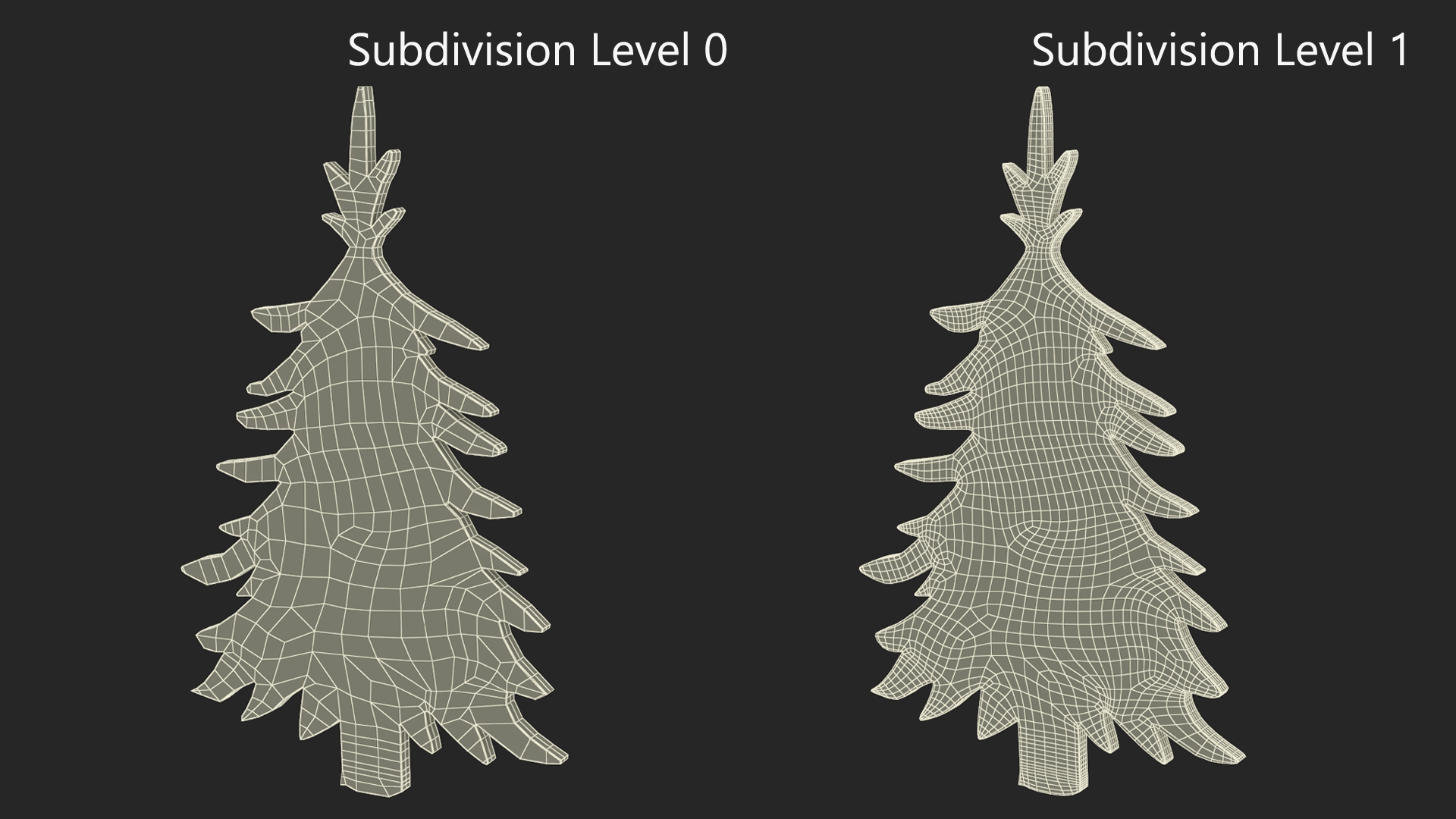 Fur Tree Silhouette 3D model