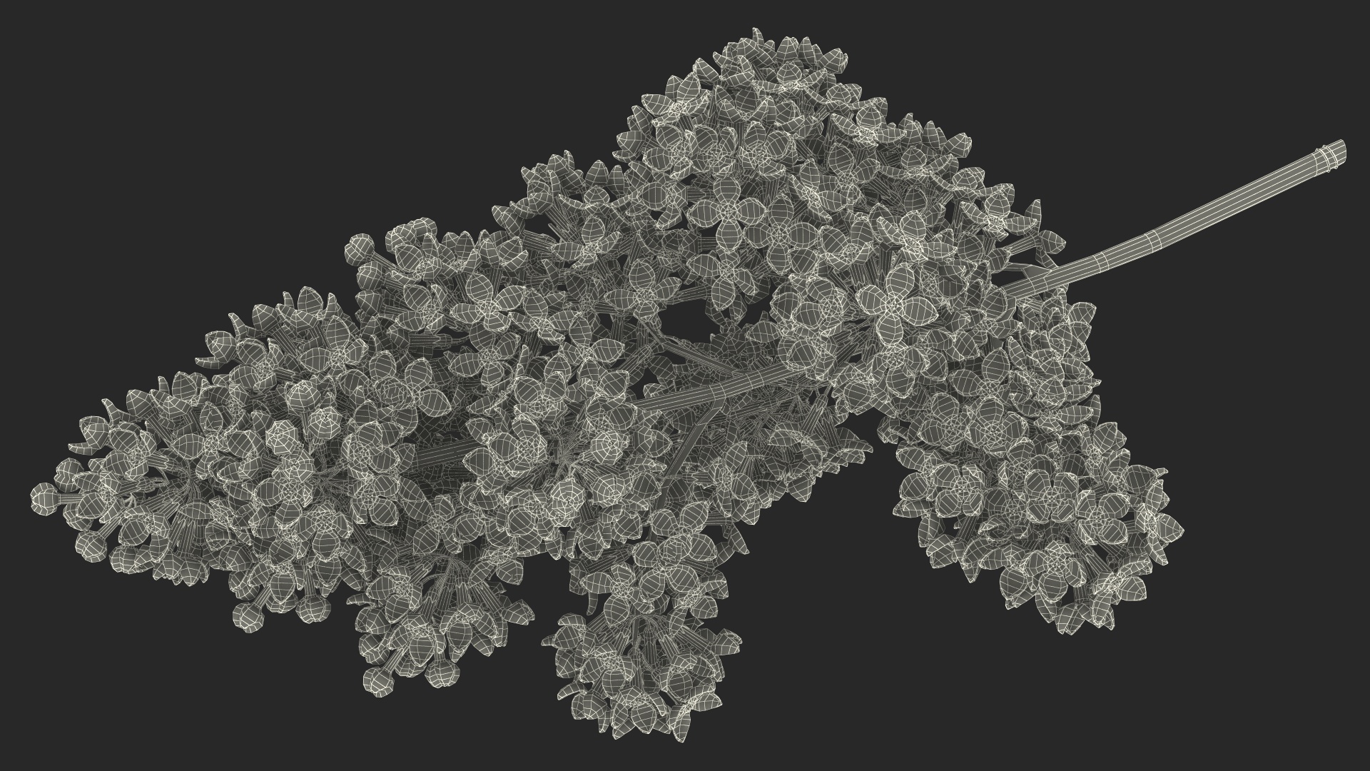 Purple Lilac Branch 3D model