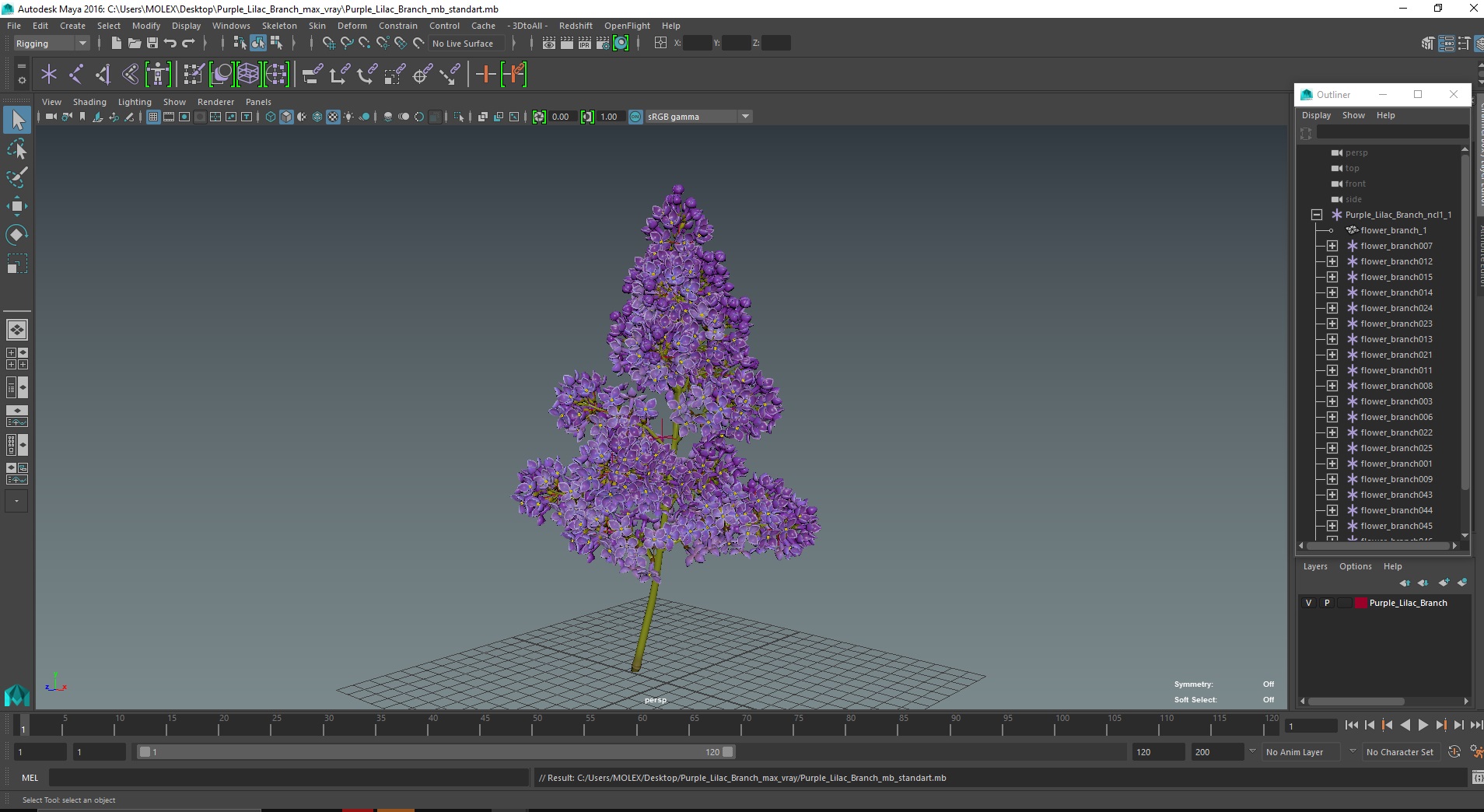 Purple Lilac Branch 3D model
