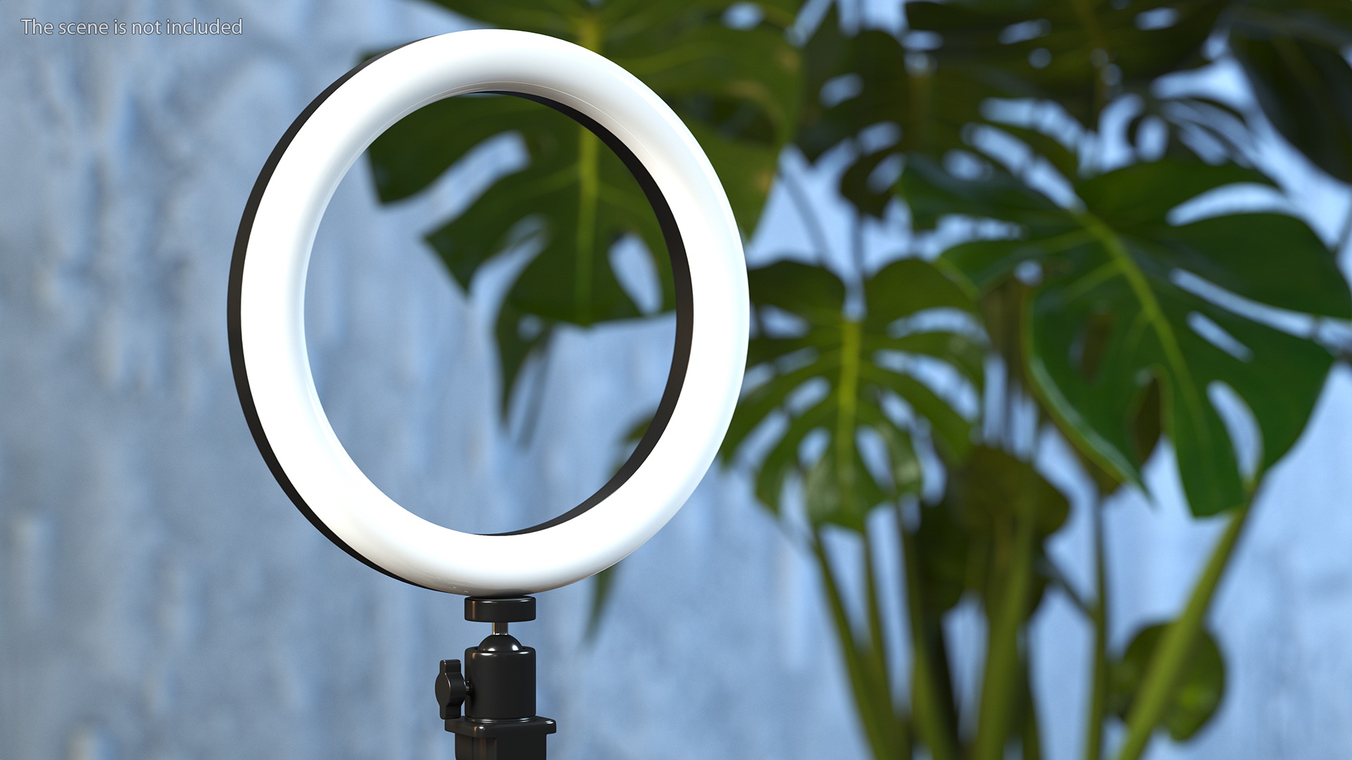 Selfie Ring Light with Tripod Stand and Phone Holder 3D