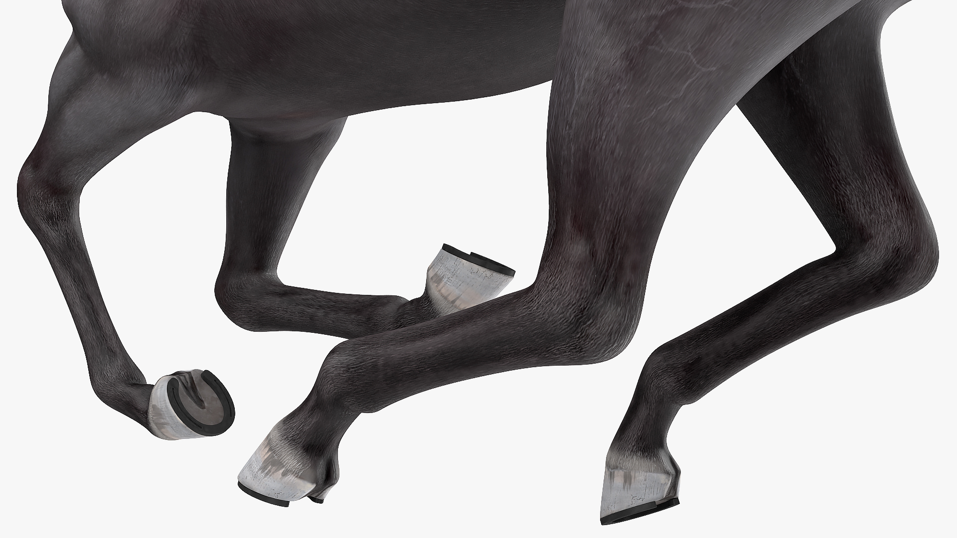 3D Gallop Pose Horse Fur
