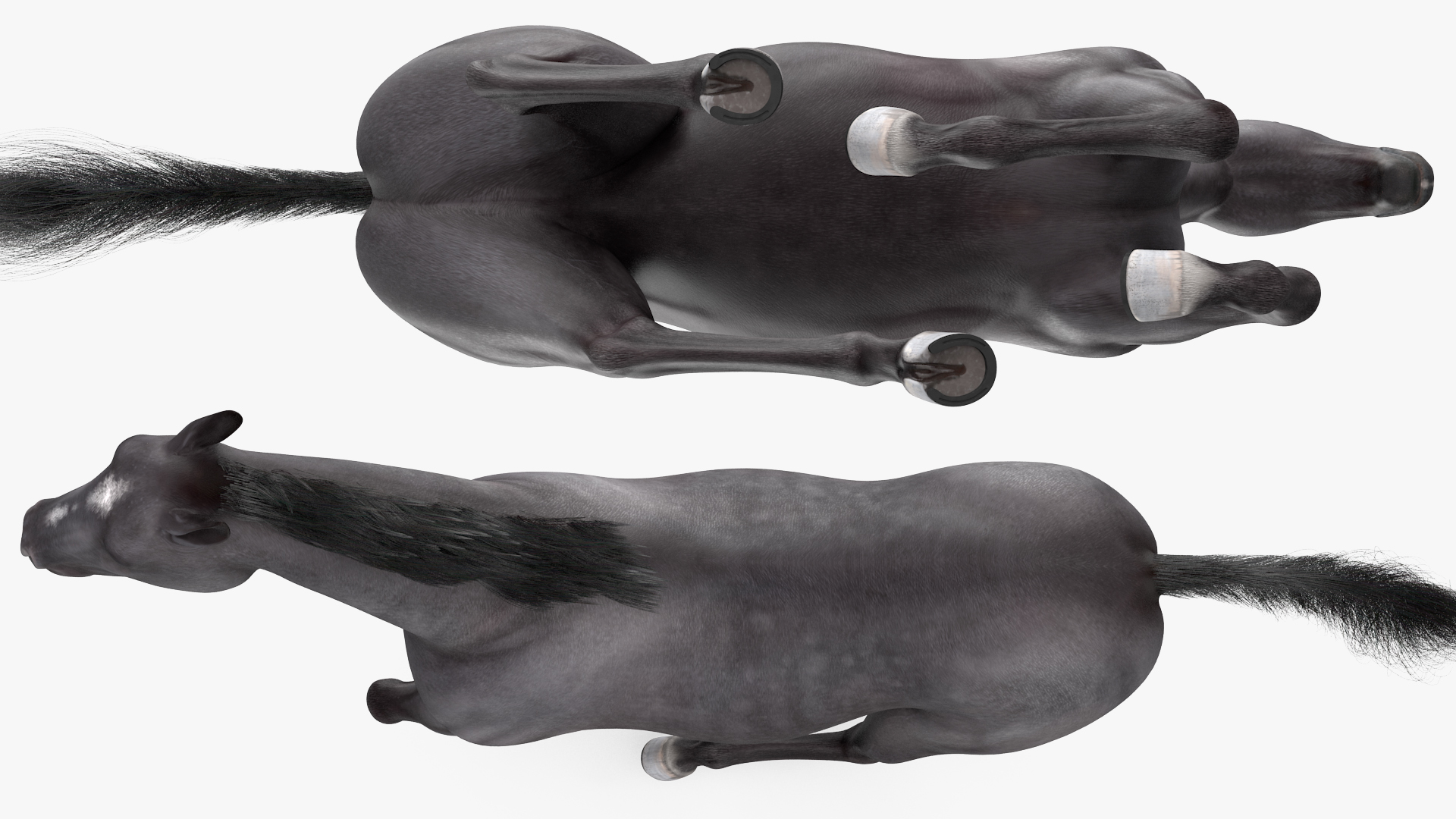 3D Gallop Pose Horse Fur