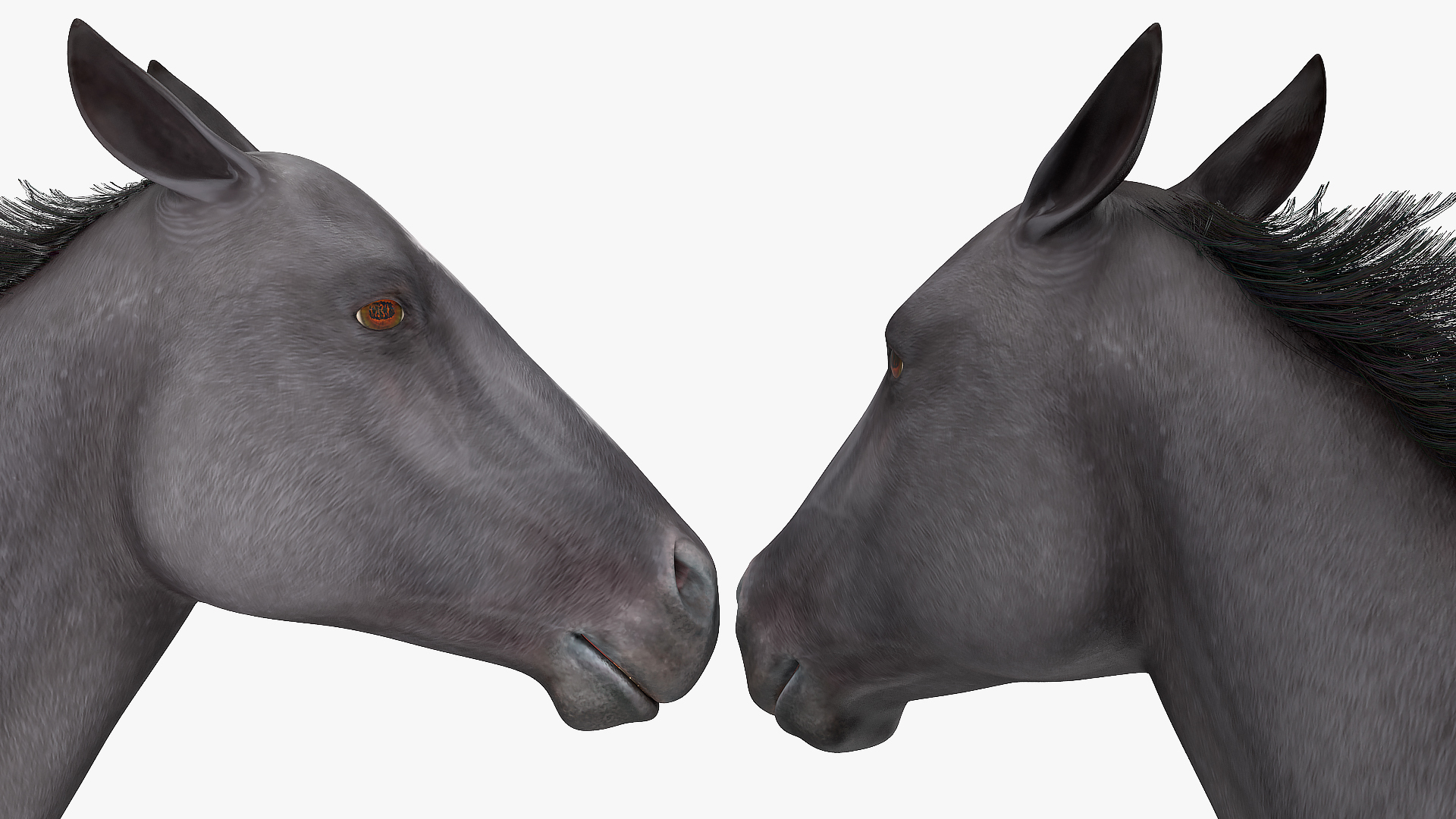 3D Gallop Pose Horse Fur