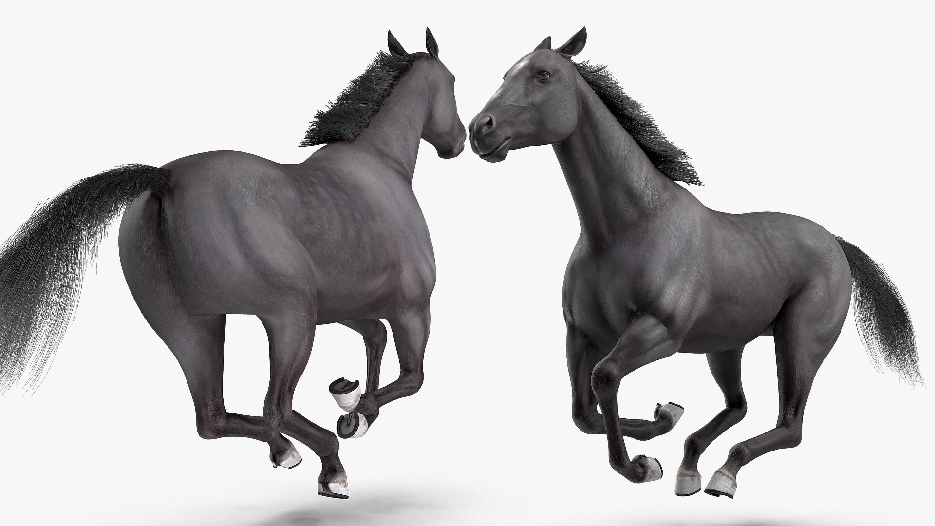 3D Gallop Pose Horse Fur