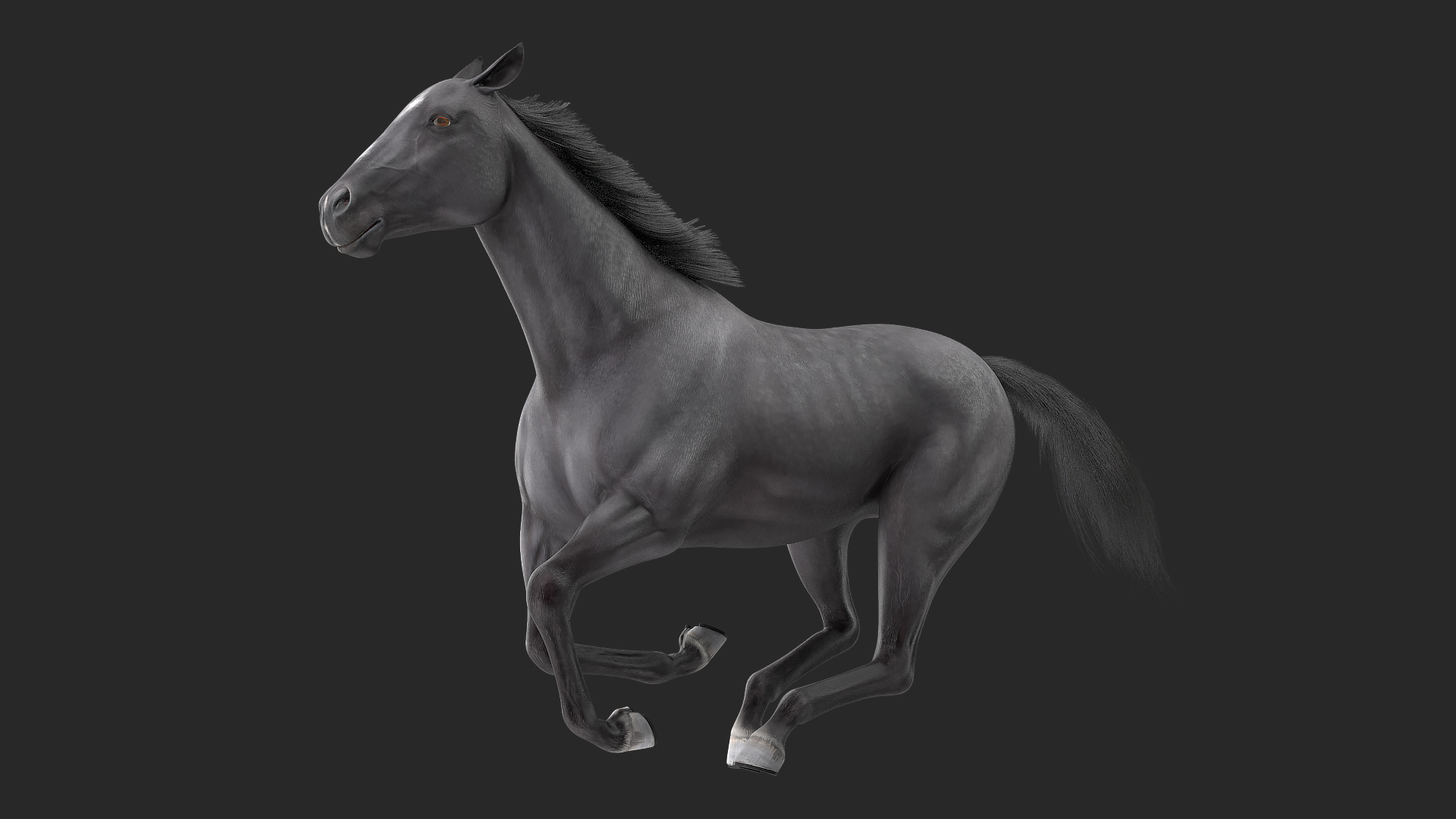 3D Gallop Pose Horse Fur