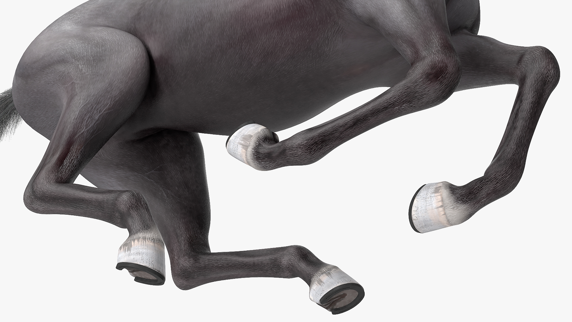 3D Gallop Pose Horse Fur