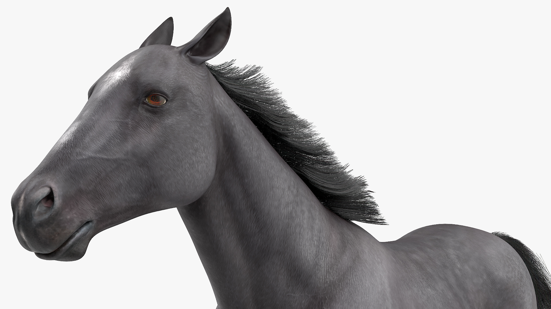 3D Gallop Pose Horse Fur