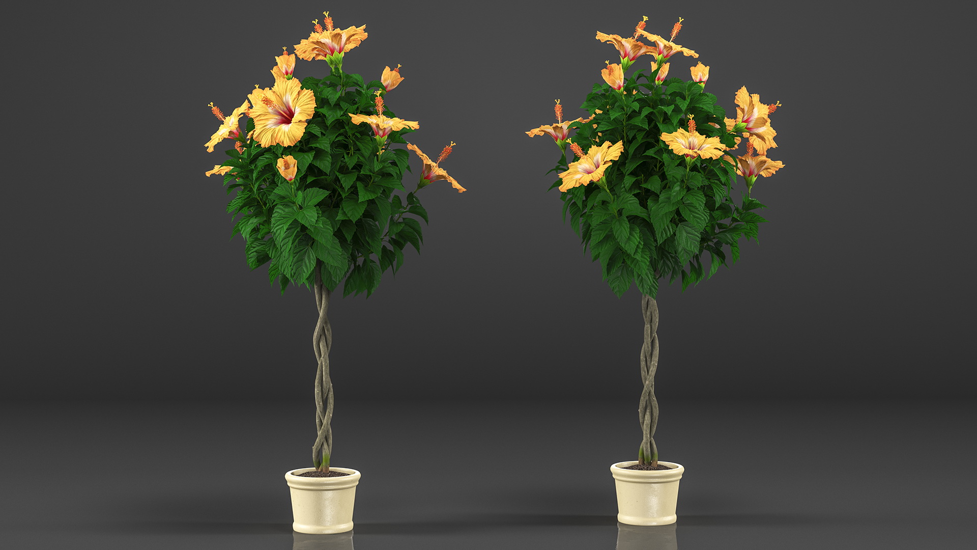 3D Triple Twist Braided Hibiscus Orange