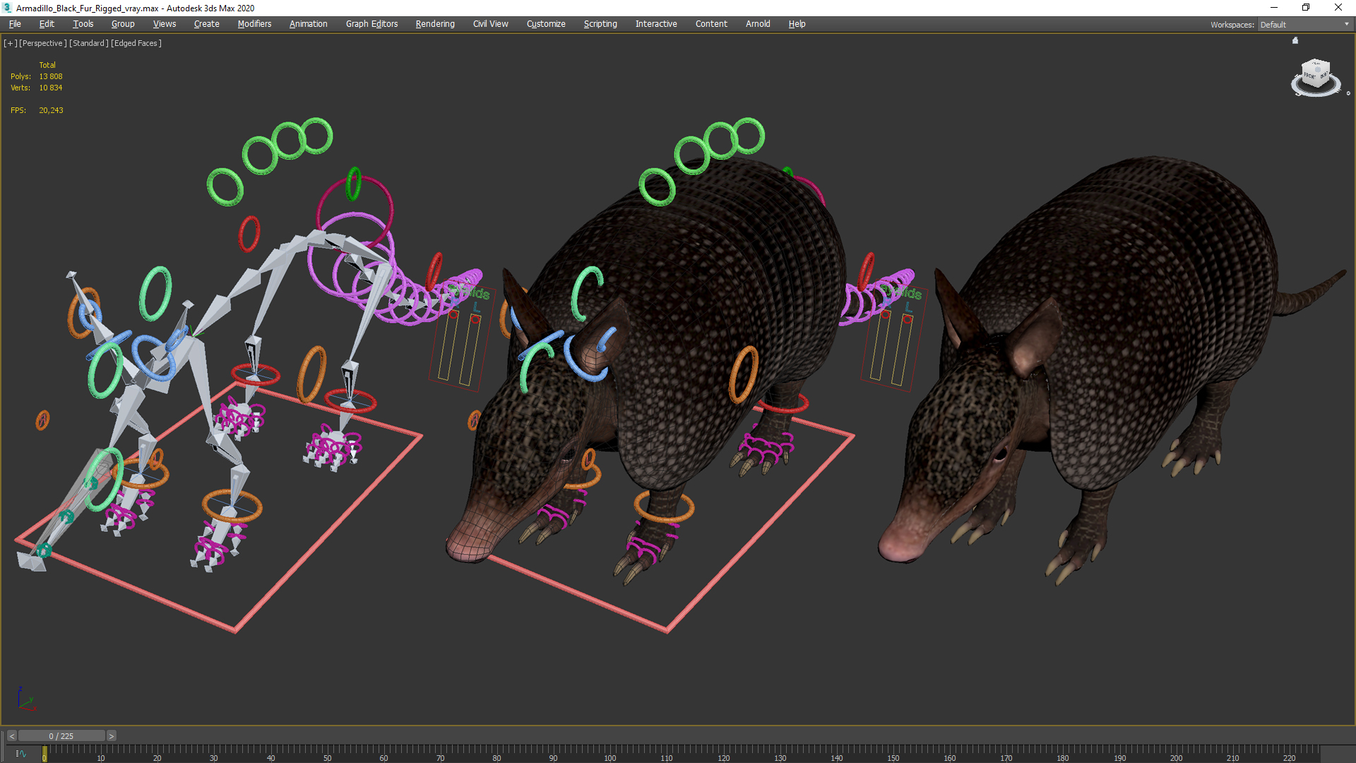 3D Armadillo Black Fur Rigged