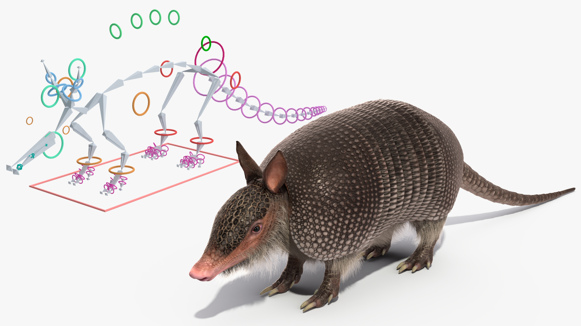 3D Armadillo Black Fur Rigged