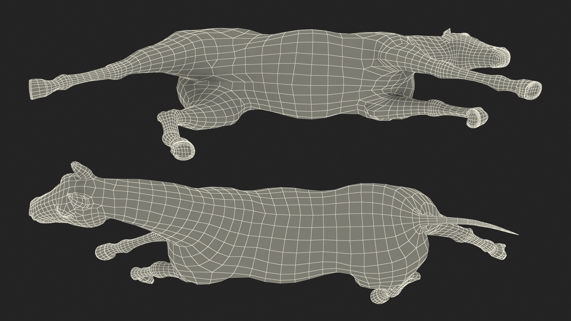 3D Running Bay Horse Fur