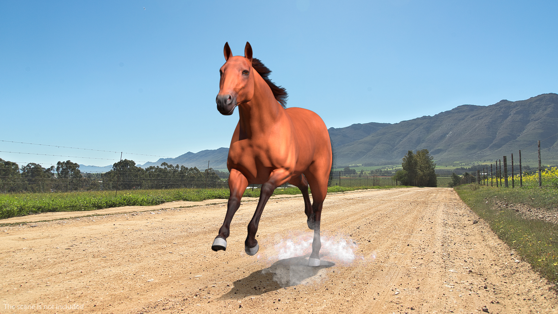 3D Running Bay Horse Fur