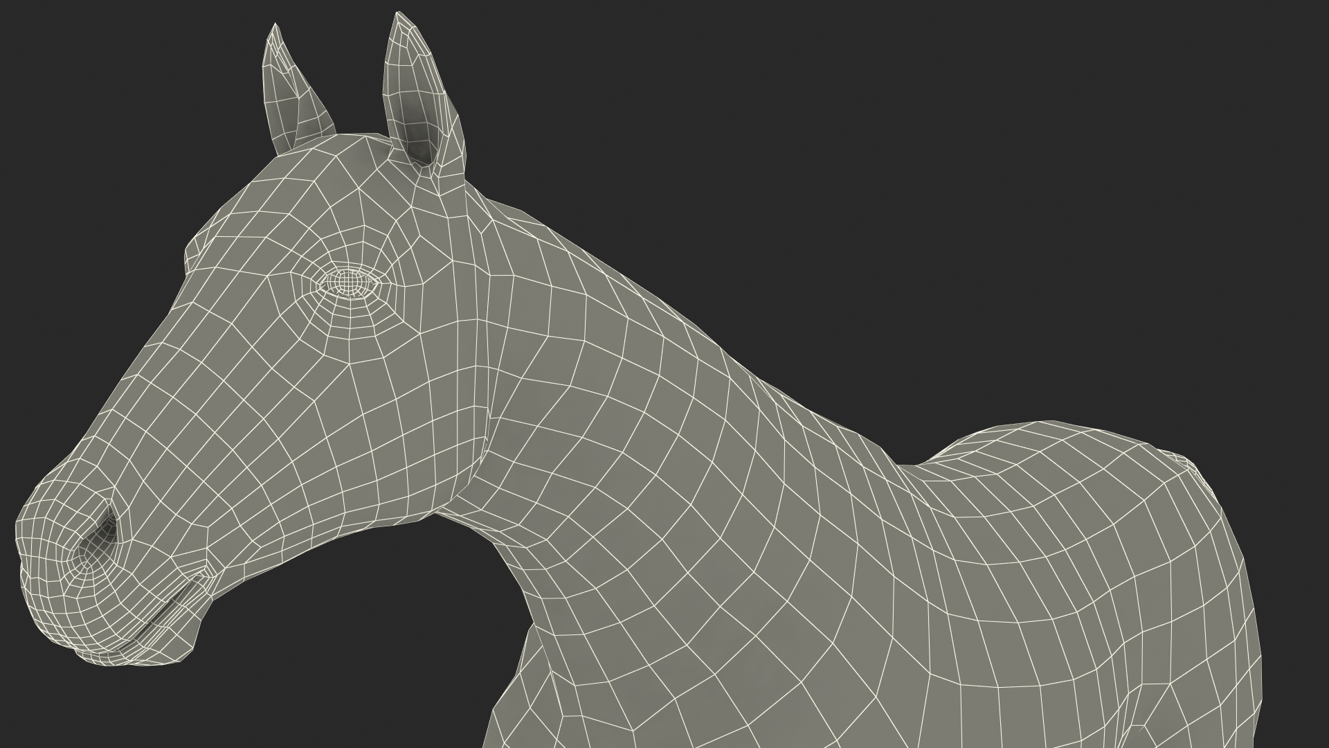 3D Running Bay Horse Fur