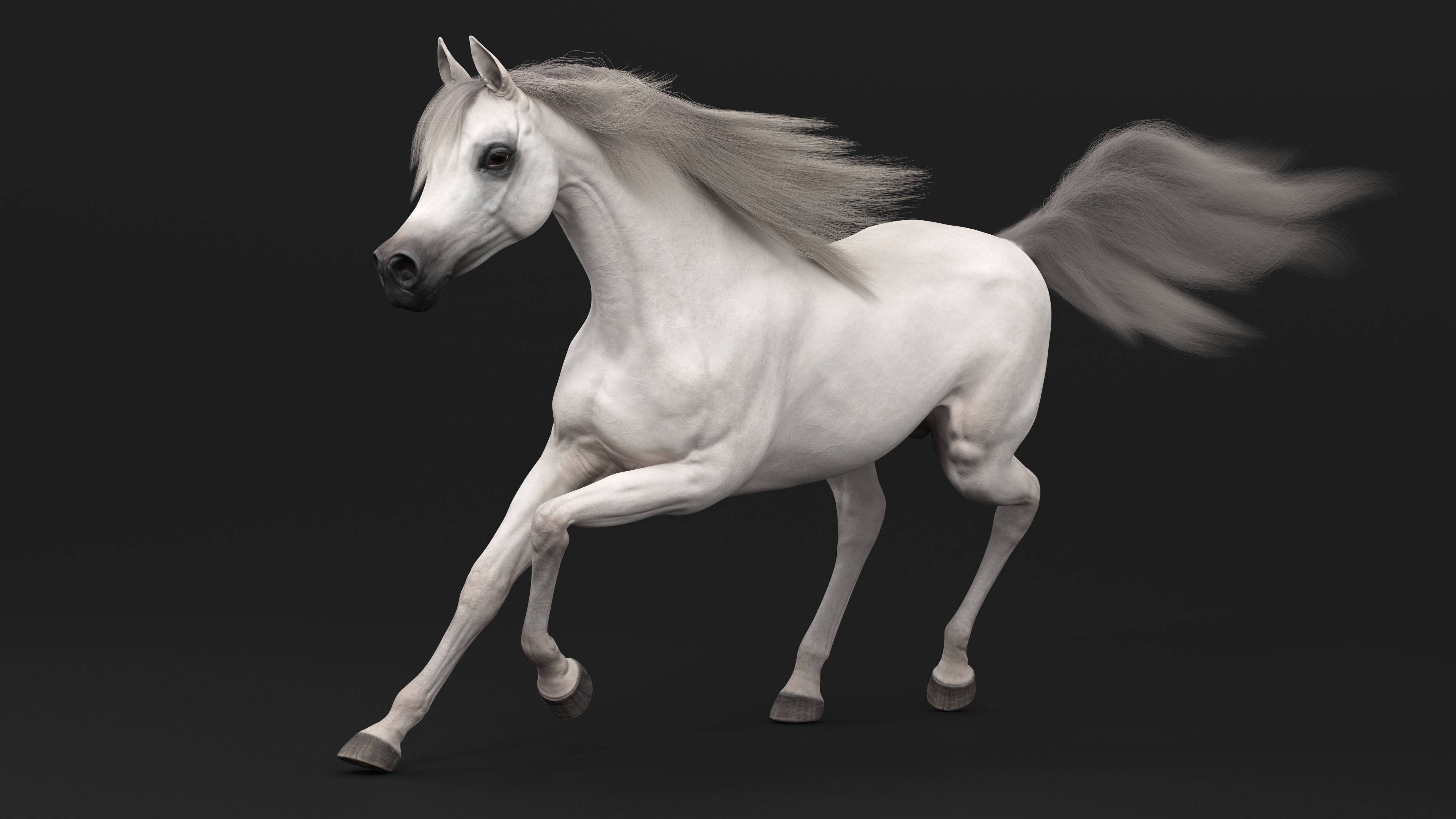 3D Galloping Arabian Horse White Fur model