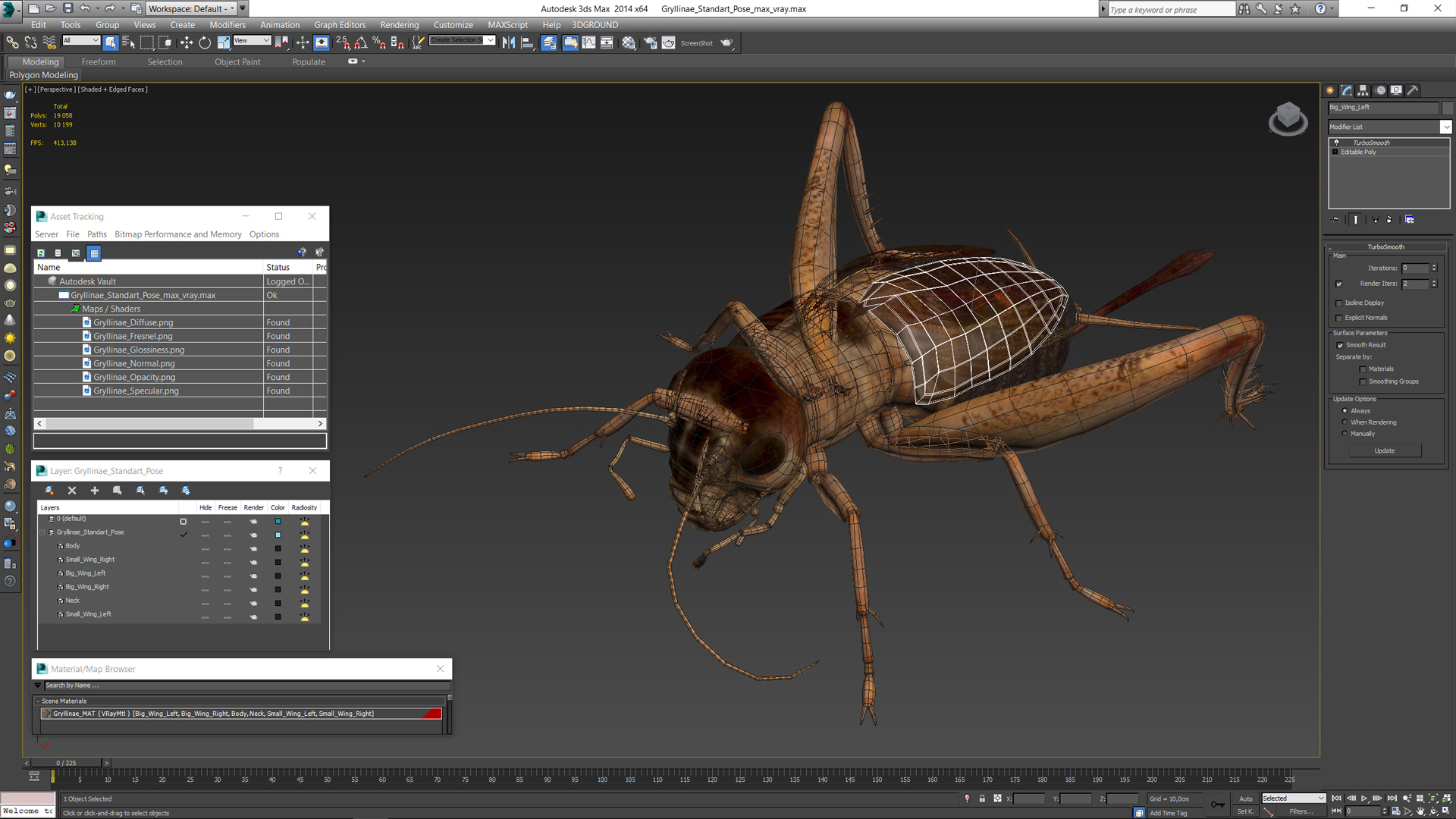 3D Gryllinae Standart Pose model