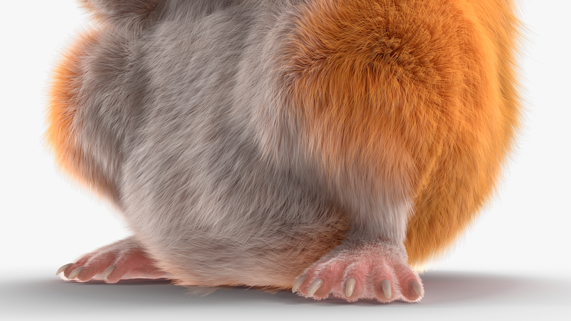 3D model Mesocricetus Auratus Gold