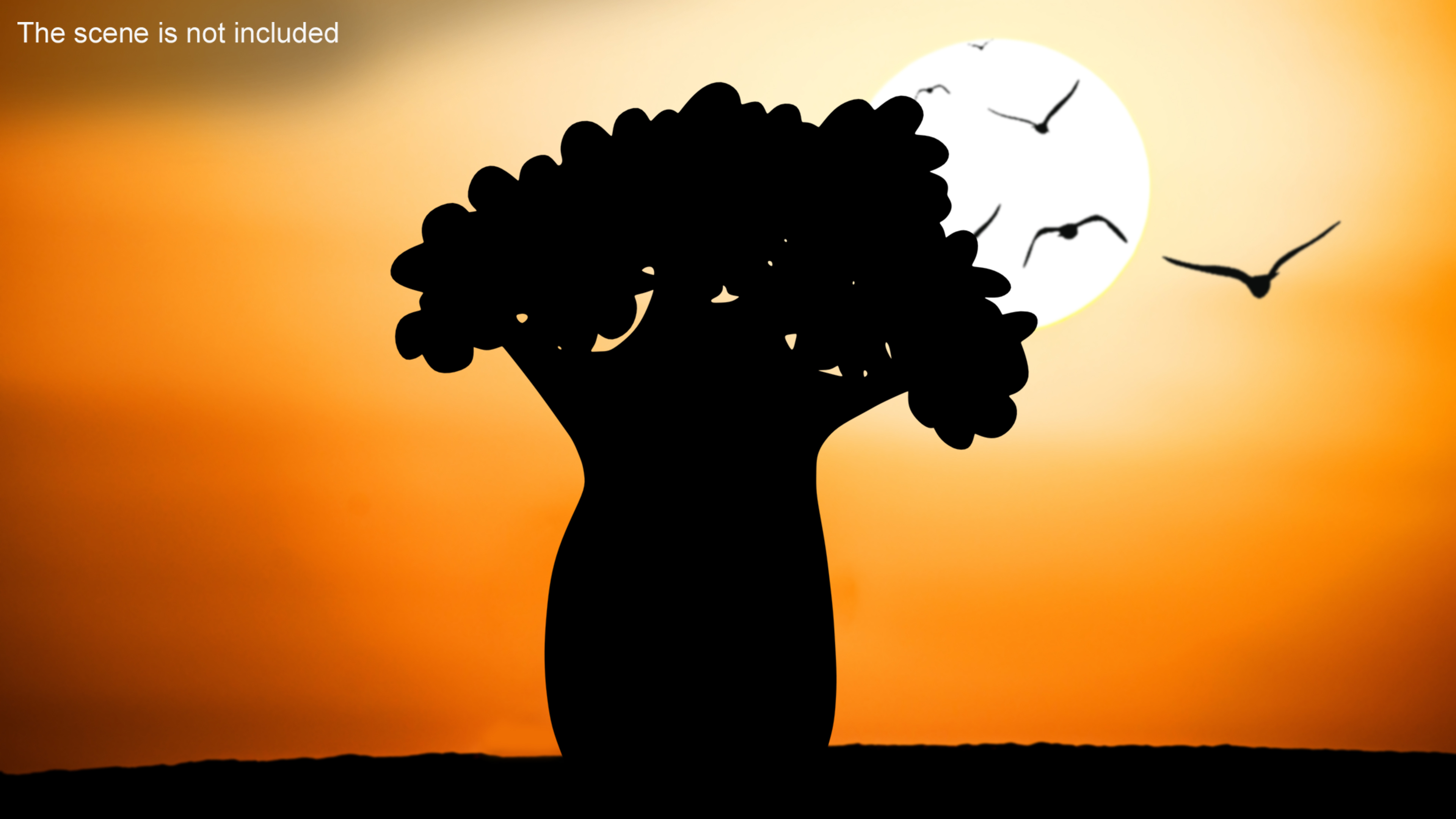 Baobab Silhouette 3D
