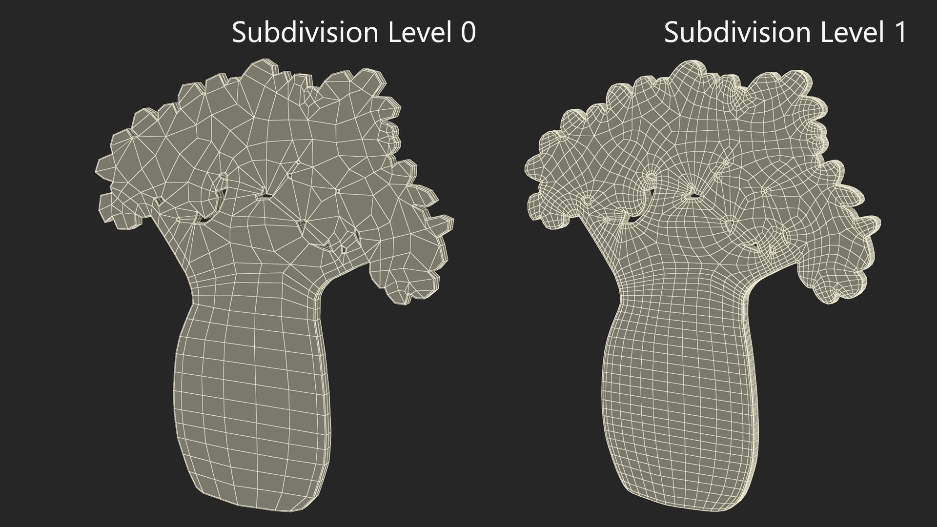 Baobab Silhouette 3D