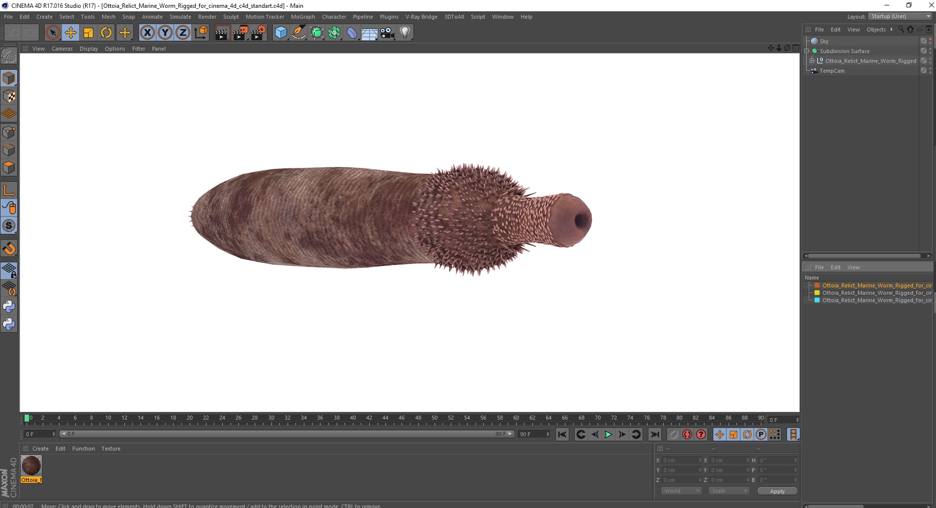 3D Ottoia Relict Marine Worm Rigged for Cinema 4D