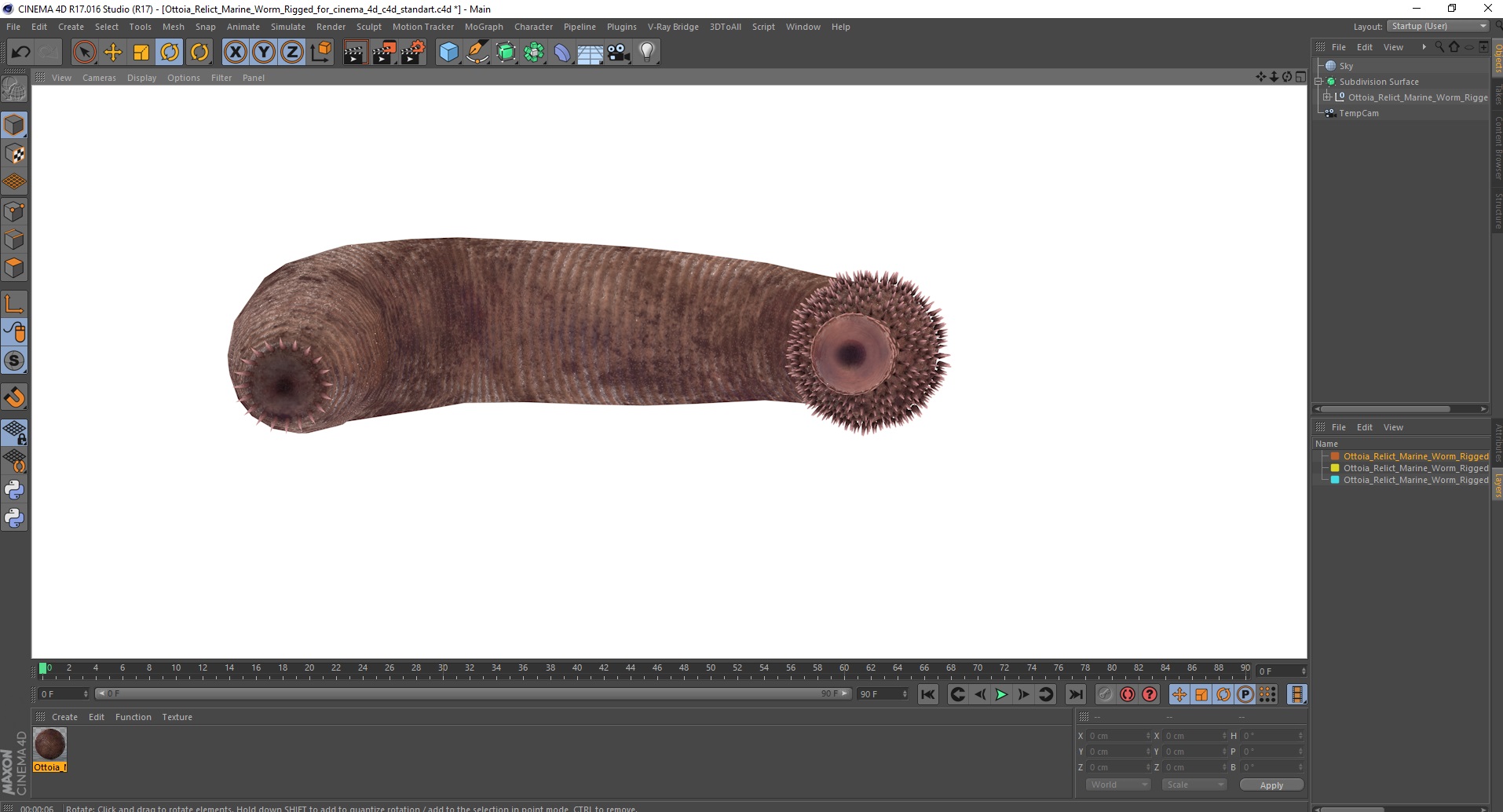 3D Ottoia Relict Marine Worm Rigged for Cinema 4D