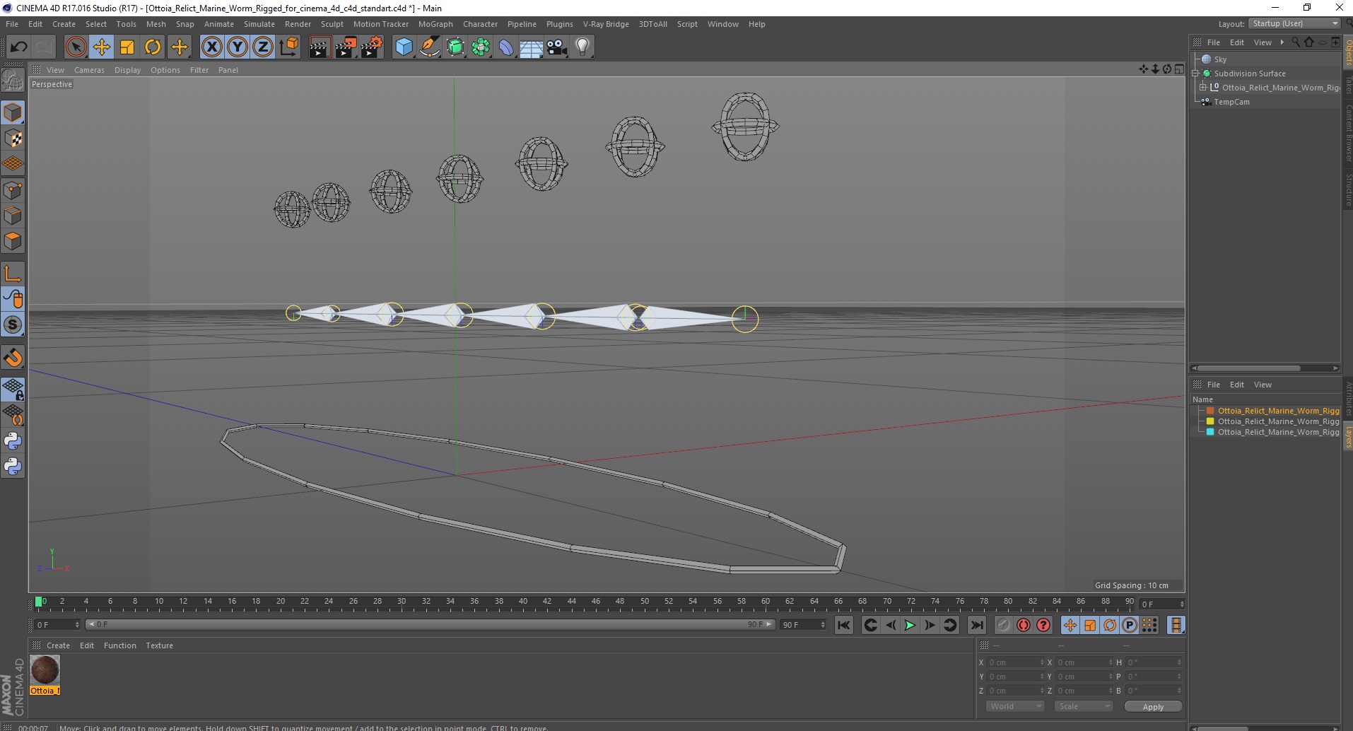 3D Ottoia Relict Marine Worm Rigged for Cinema 4D