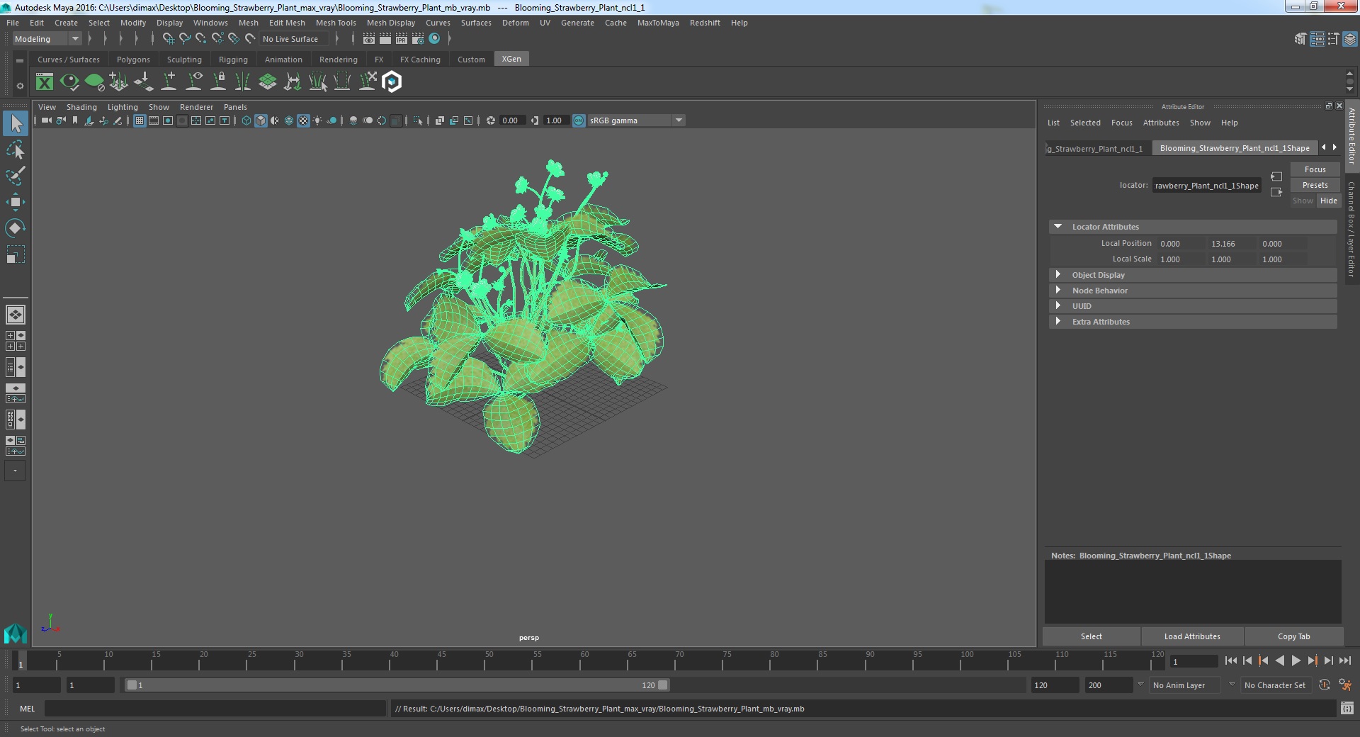 3D model Blooming Strawberry Plant