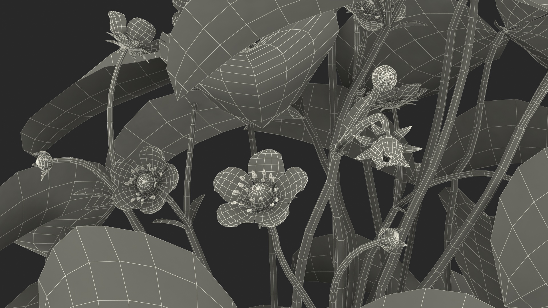 3D model Blooming Strawberry Plant