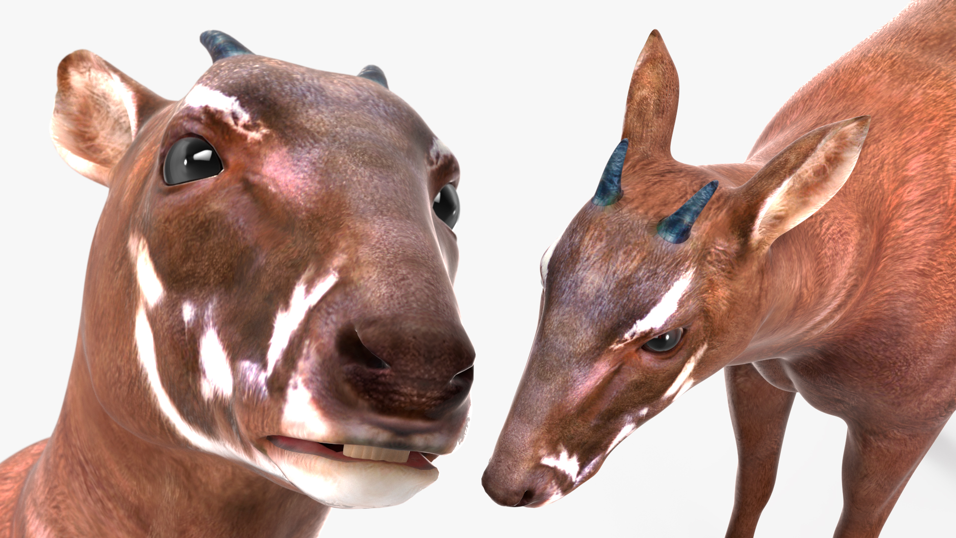 Saola Rigged 3D