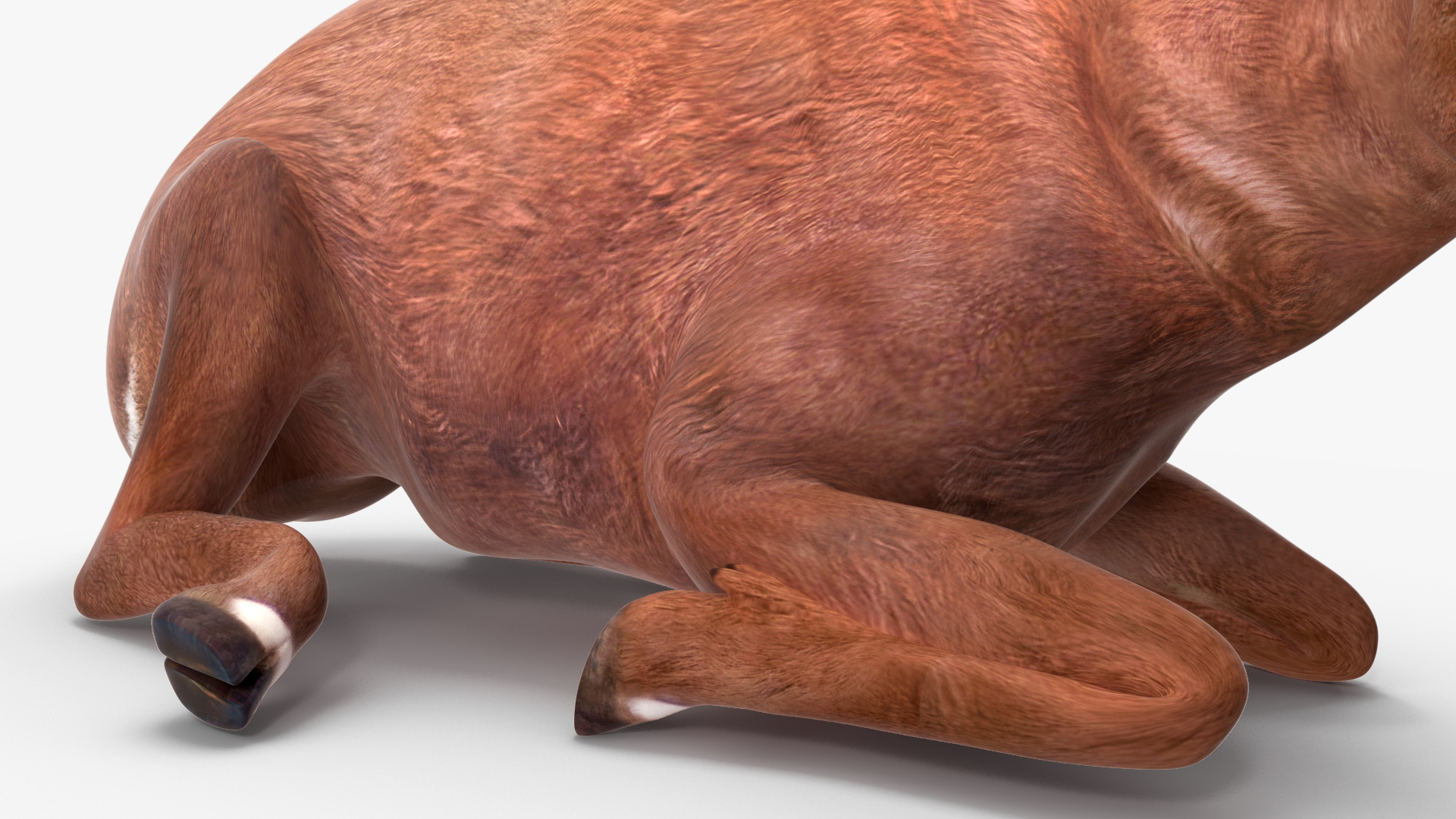 Saola Rigged 3D
