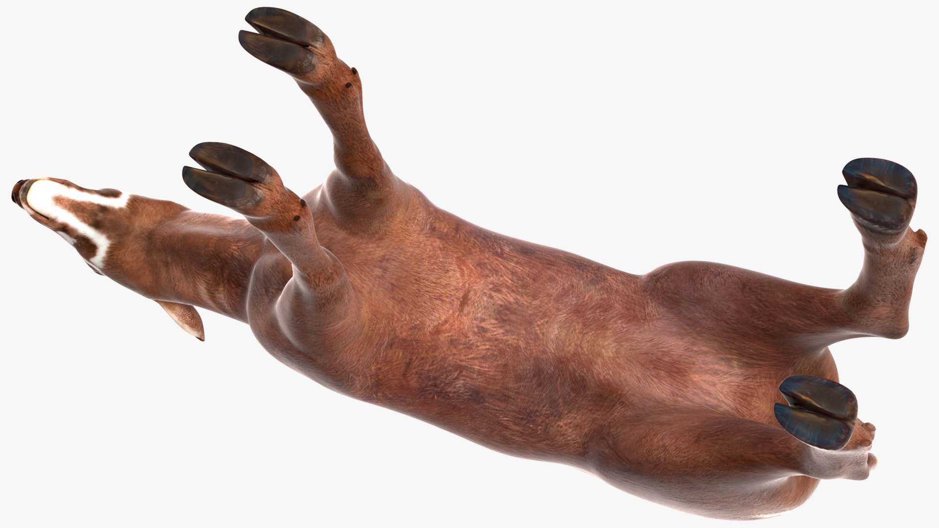 Saola Rigged 3D