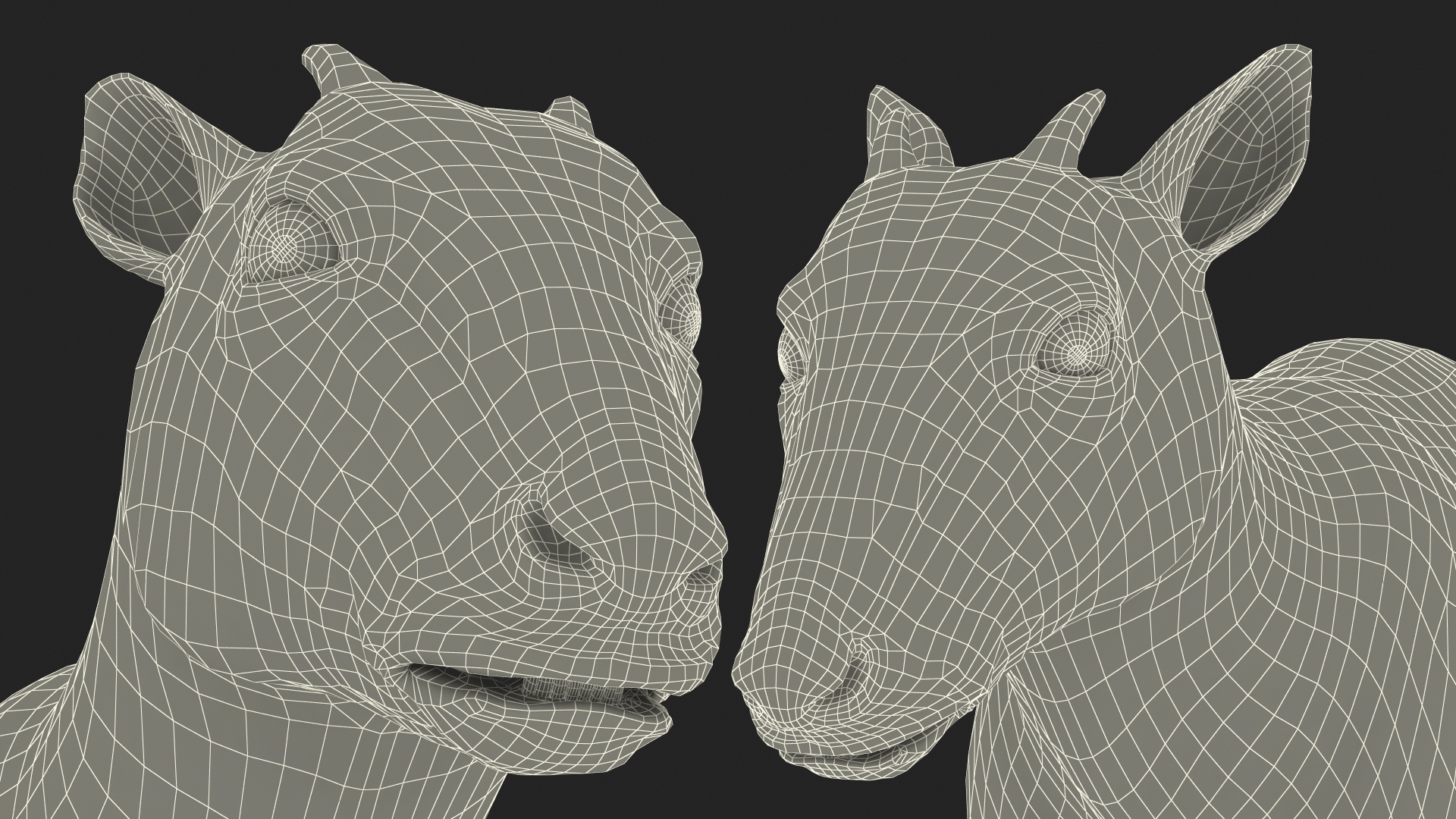 Saola Rigged 3D