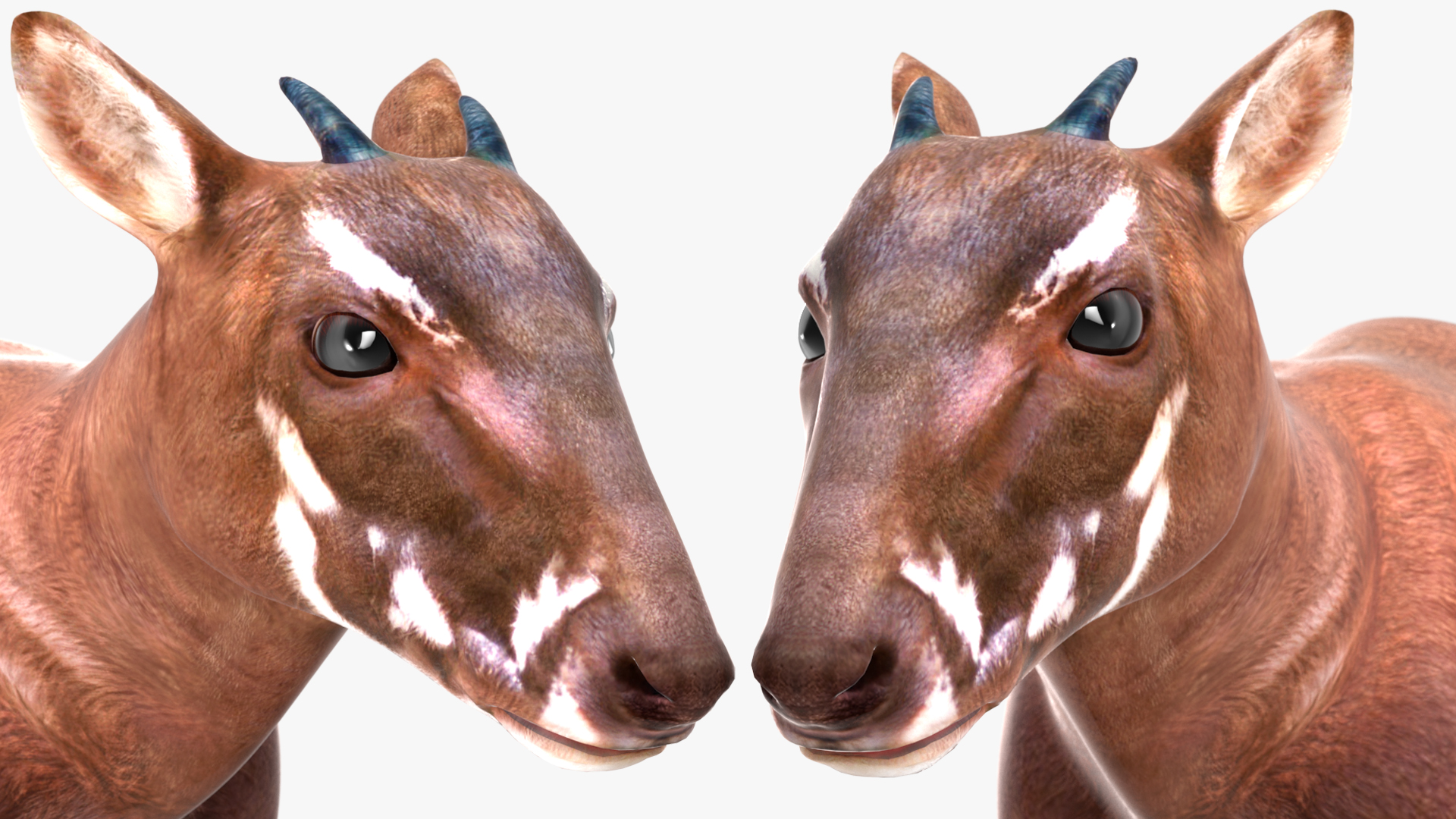 Saola Rigged 3D