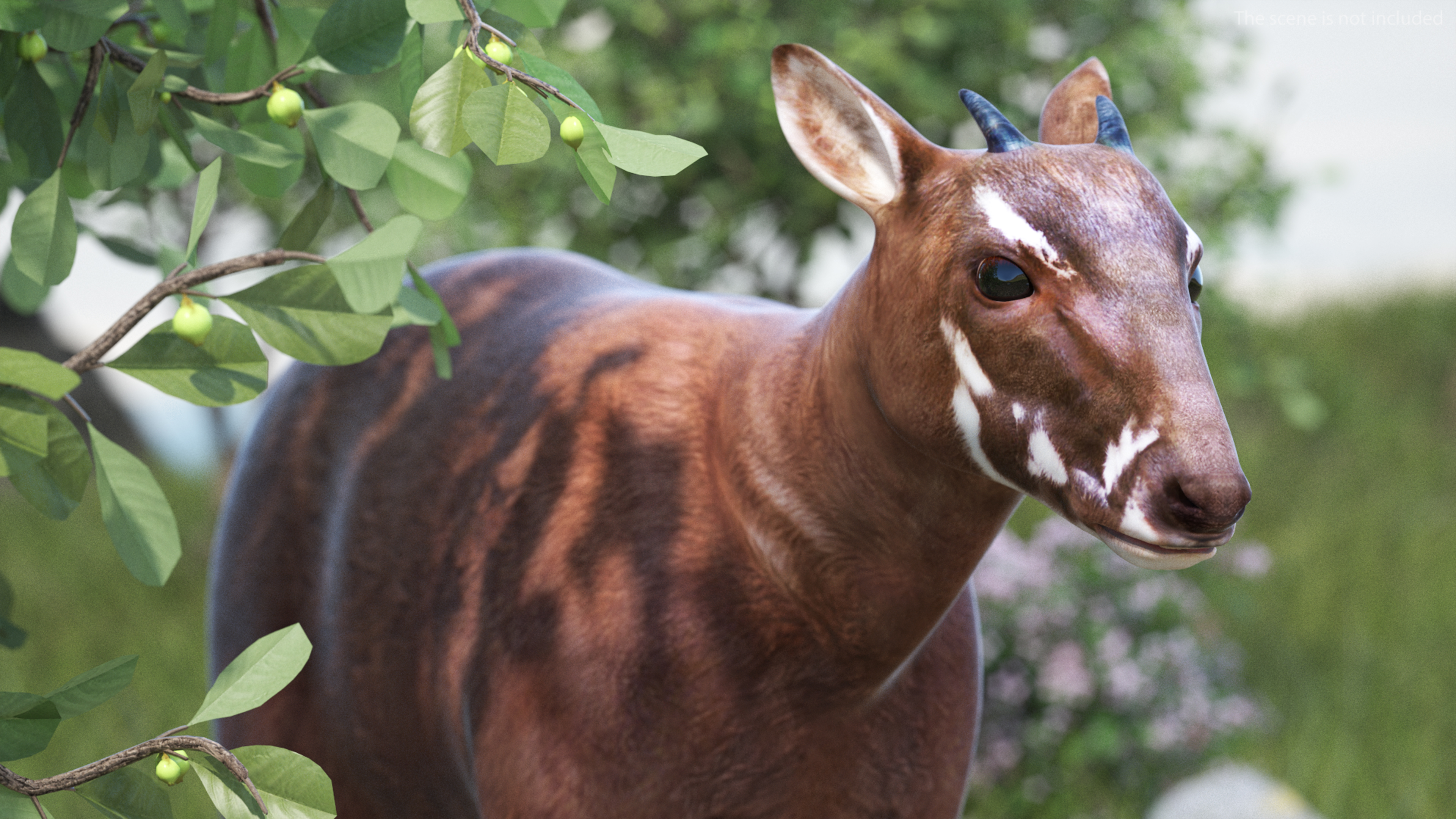 Saola Rigged 3D
