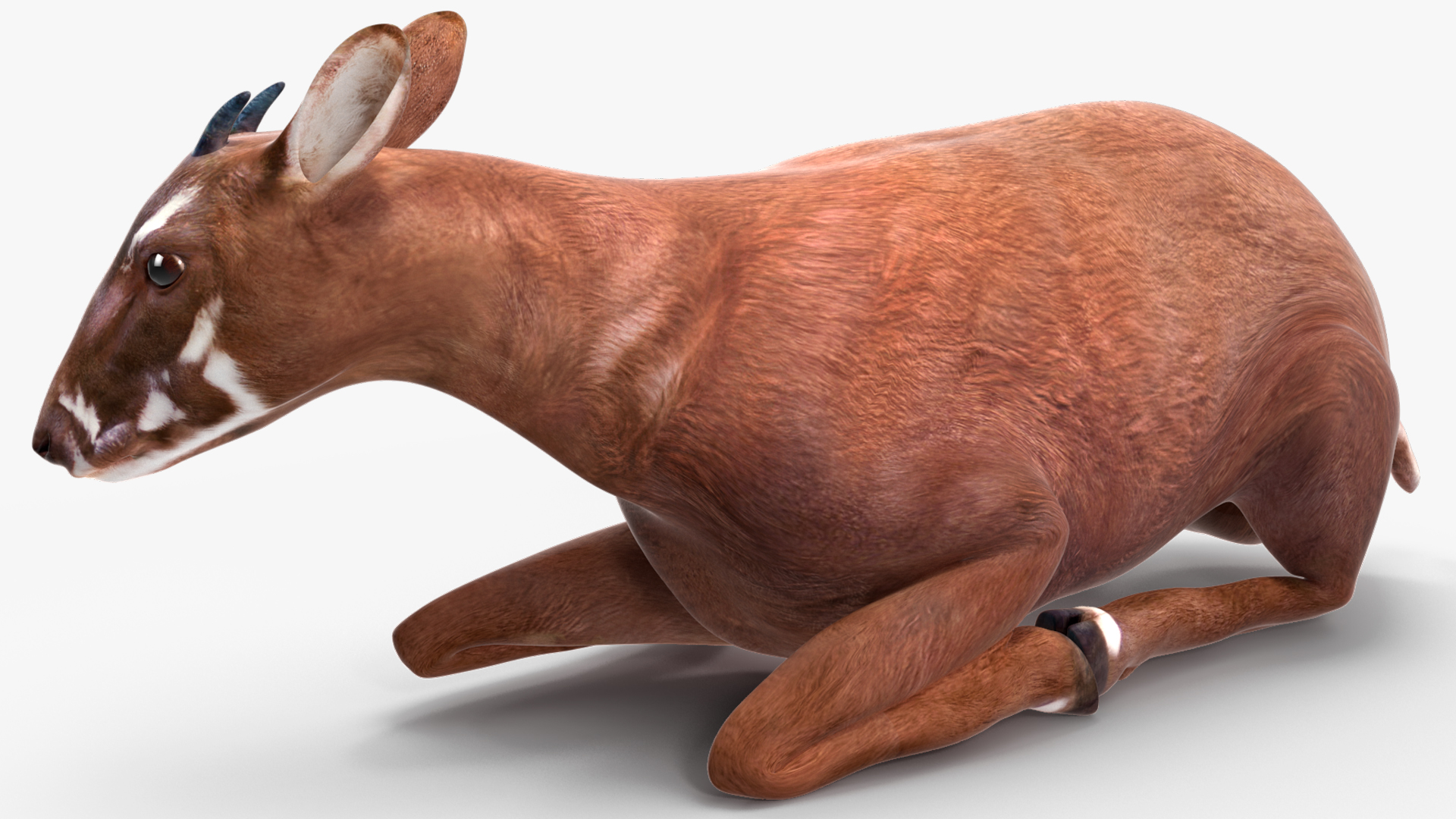Saola Rigged 3D