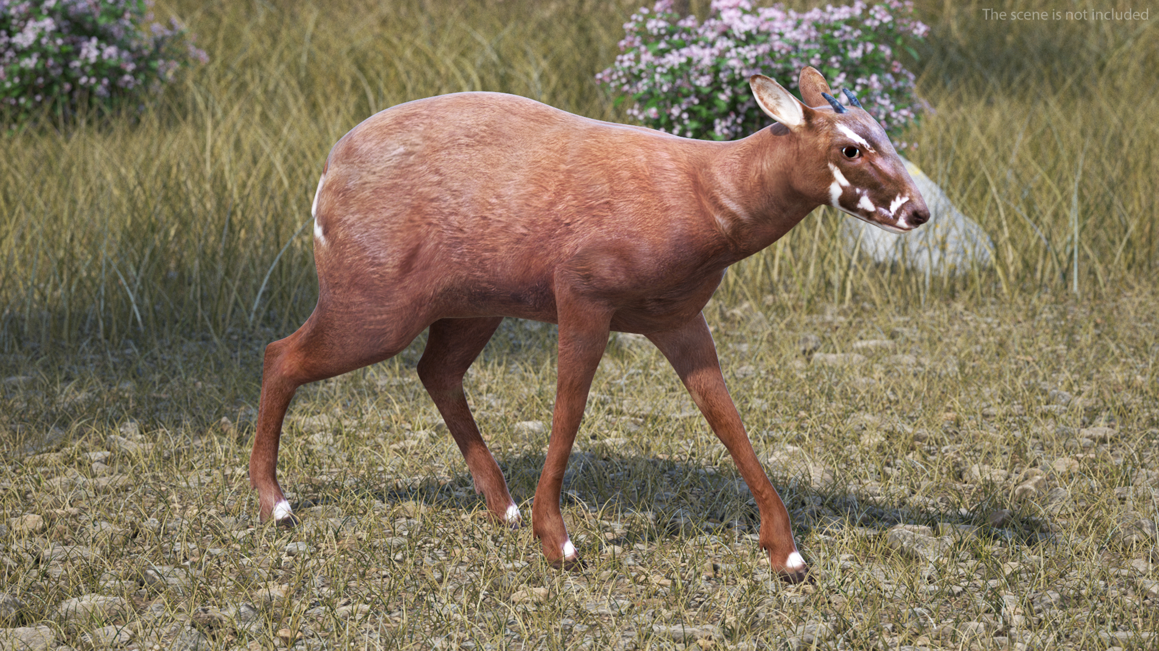 Saola Rigged 3D