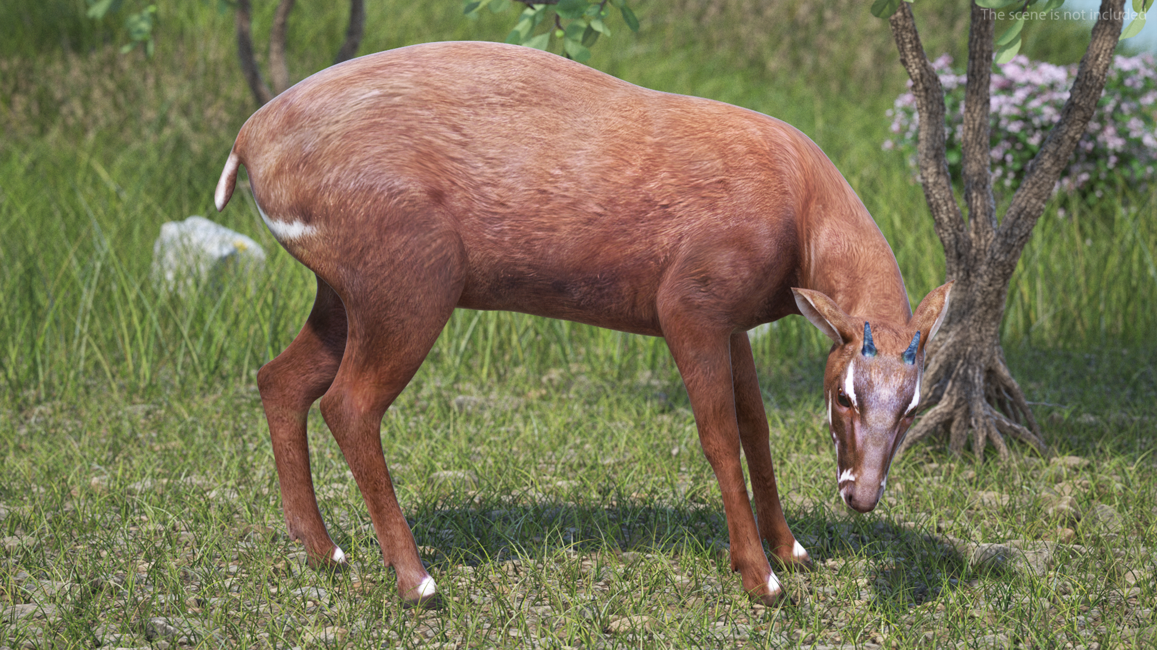 Saola Rigged 3D