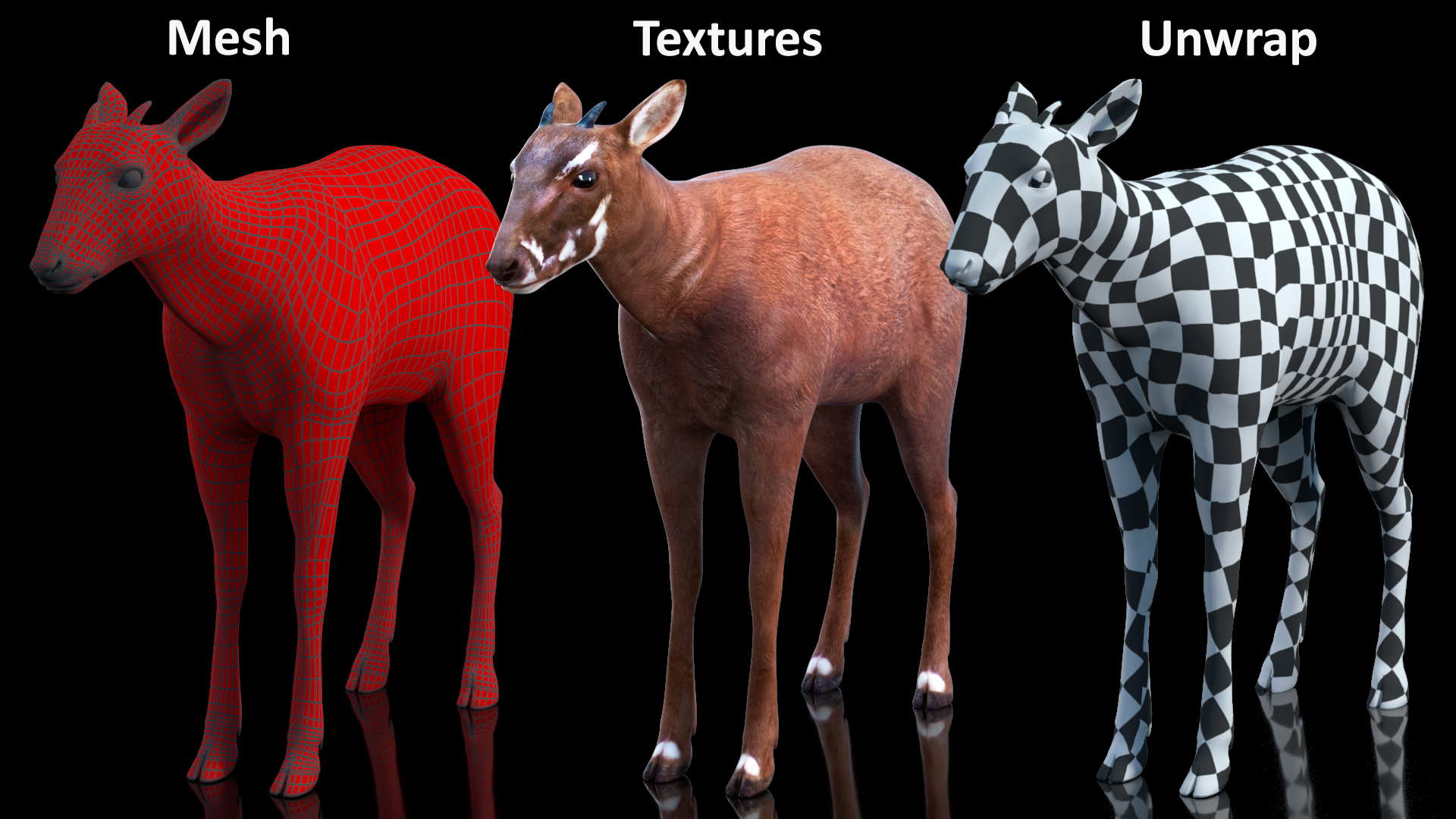 Saola Rigged 3D