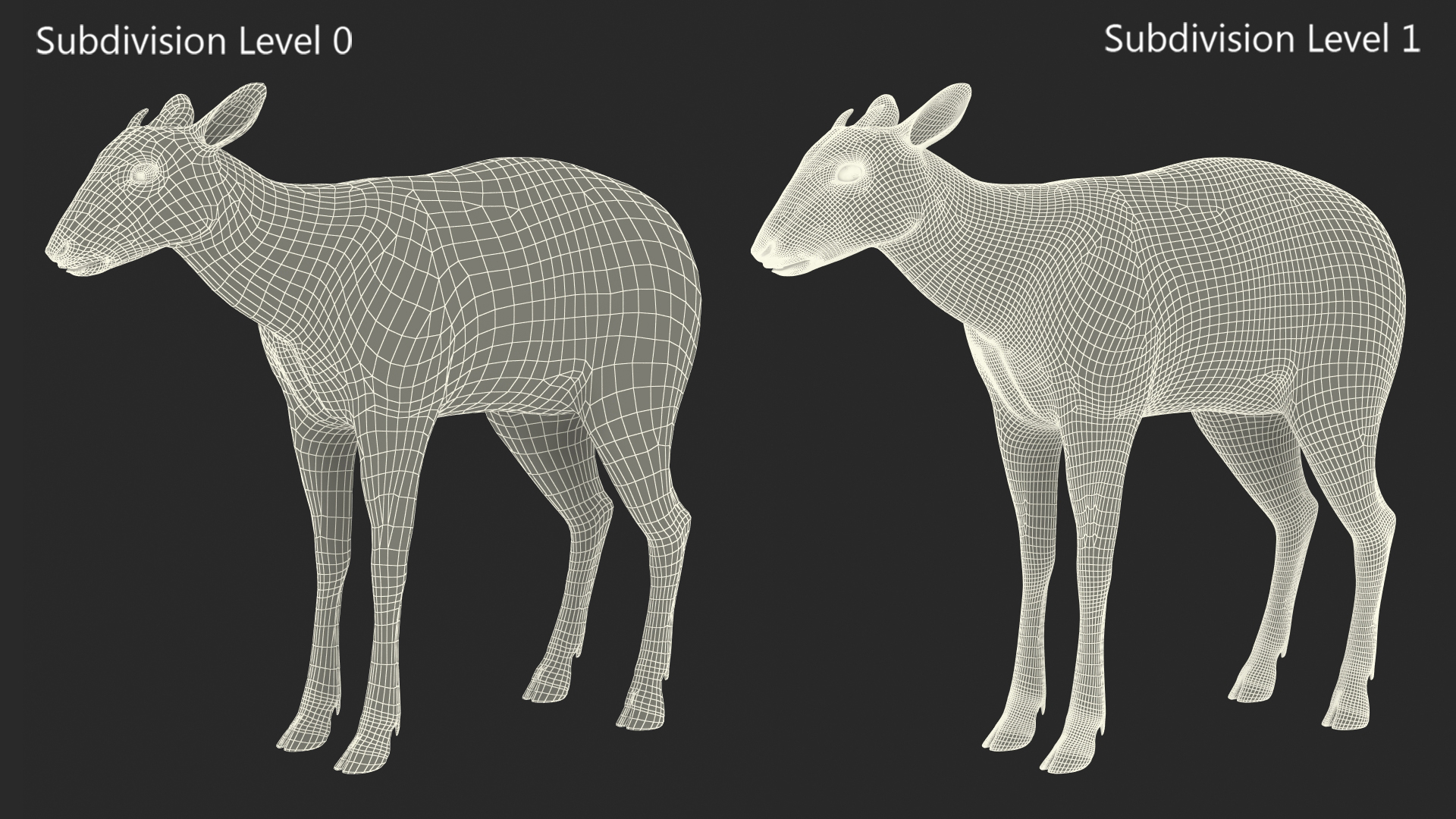 Saola Rigged 3D