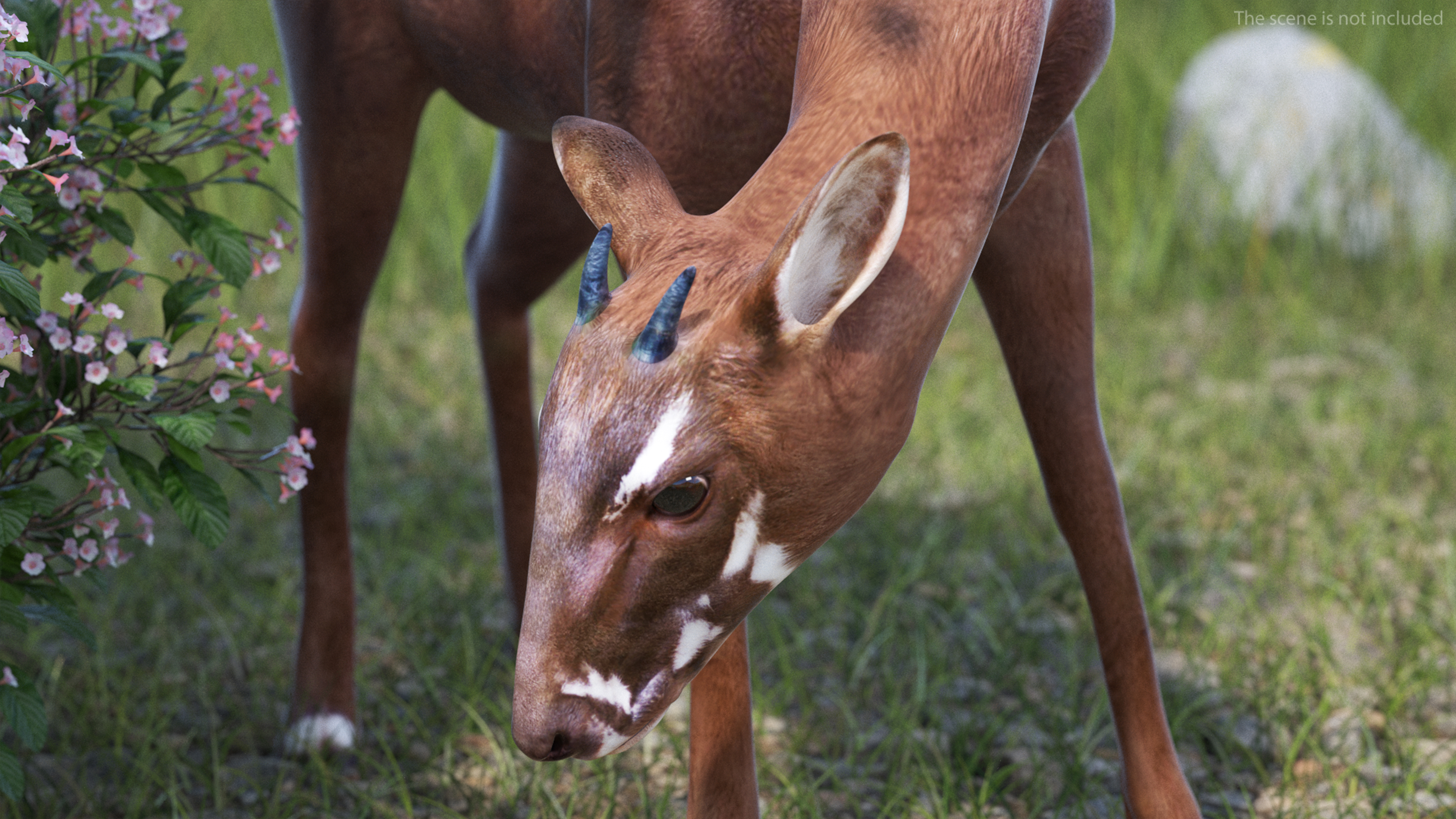 Saola Rigged 3D