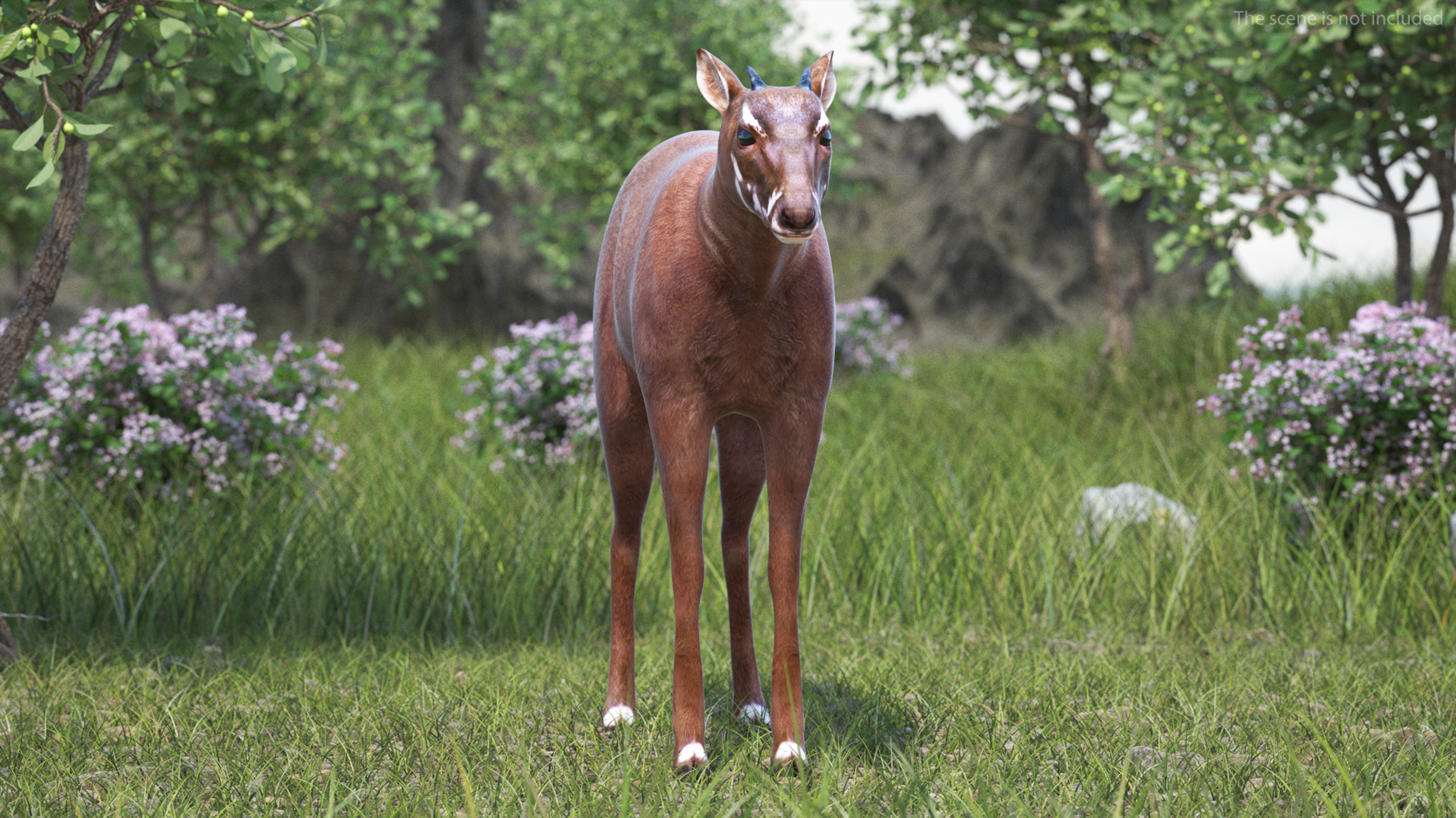 Saola Rigged 3D